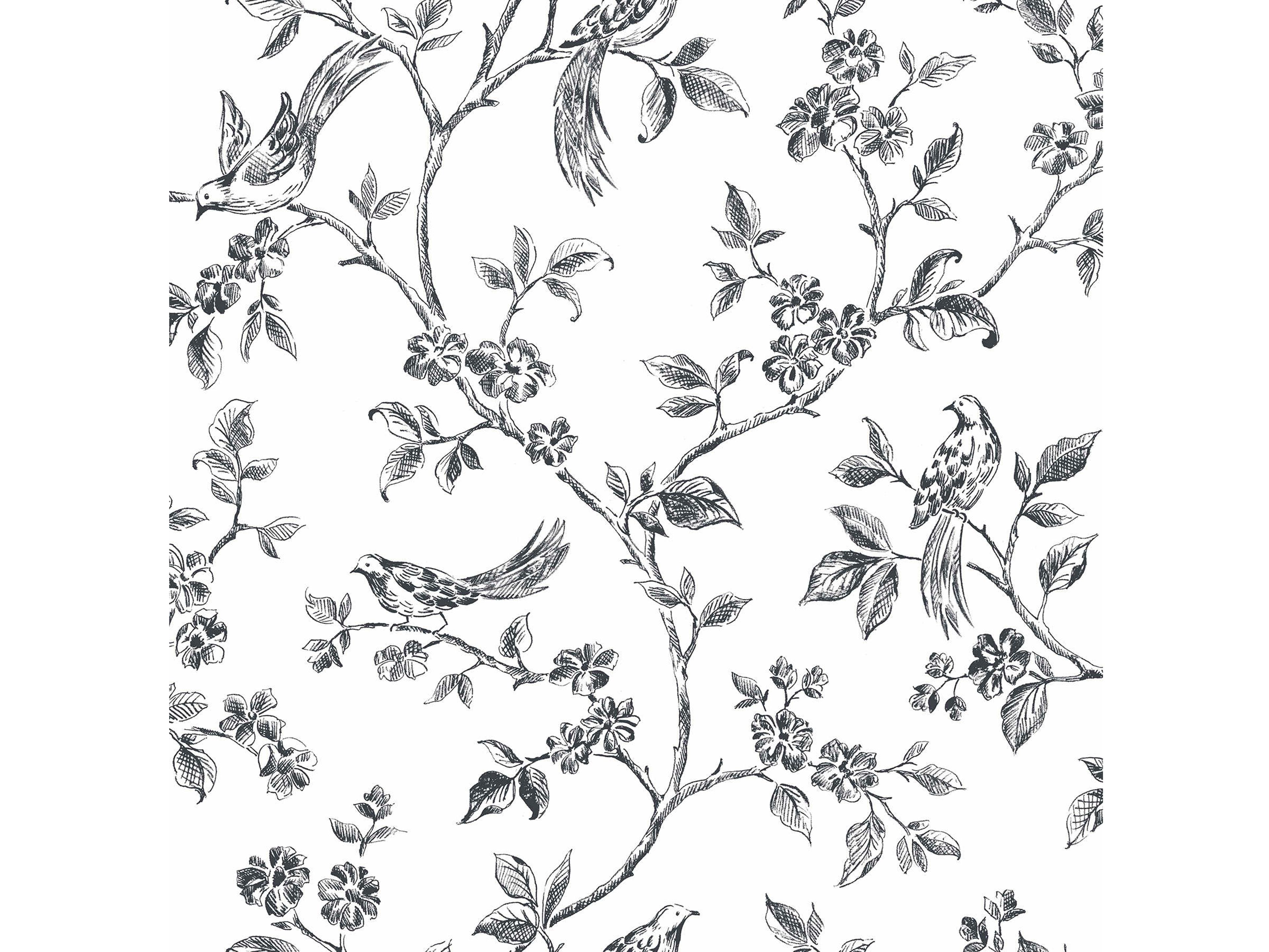 Brewster Home Fashions Advantage Ray Black Bird Trail Wallpaper Ray Black Bird Trail Wallpaper