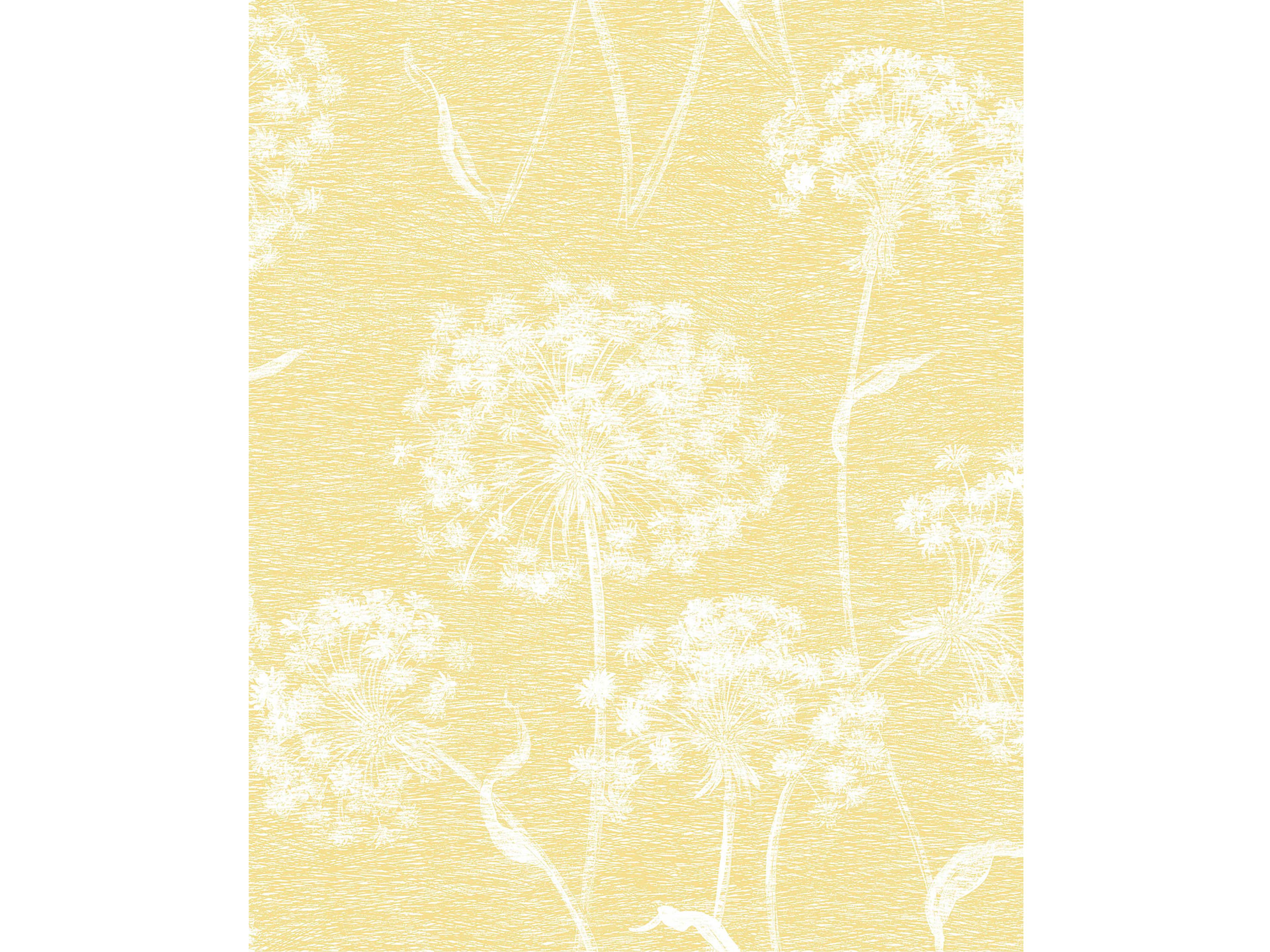 Brewster Home Fashions Advantage Garvey Yellow Dandelion Wallpaper