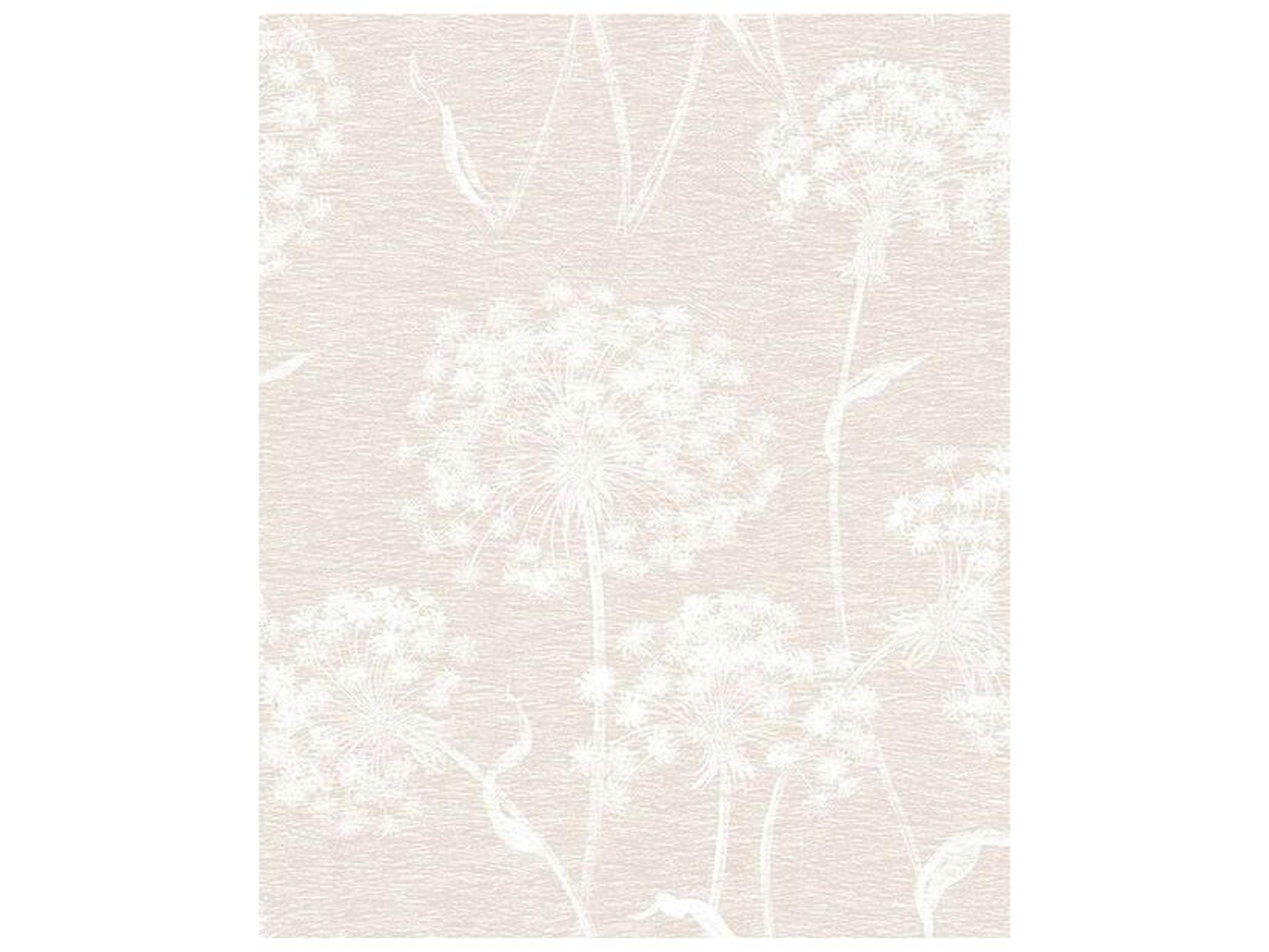 Advantage Horatio Cream Dandelion Wallpaper Horatio Cream Dandelion Wallpaper