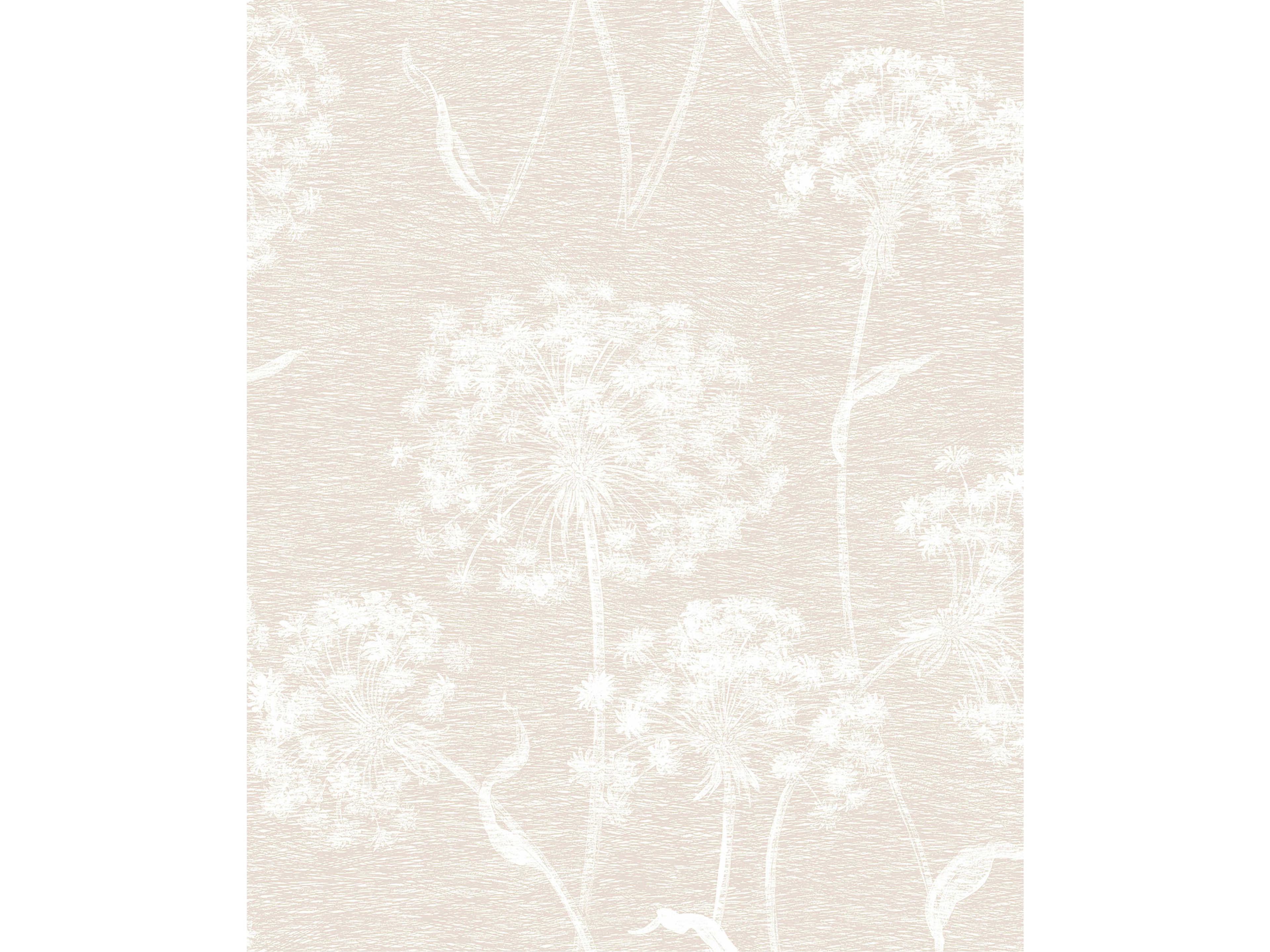 Brewster Home Fashions Advantage Horatio Cream Dandelion Wallpaper Horatio Cream Dandelion Wallpaper