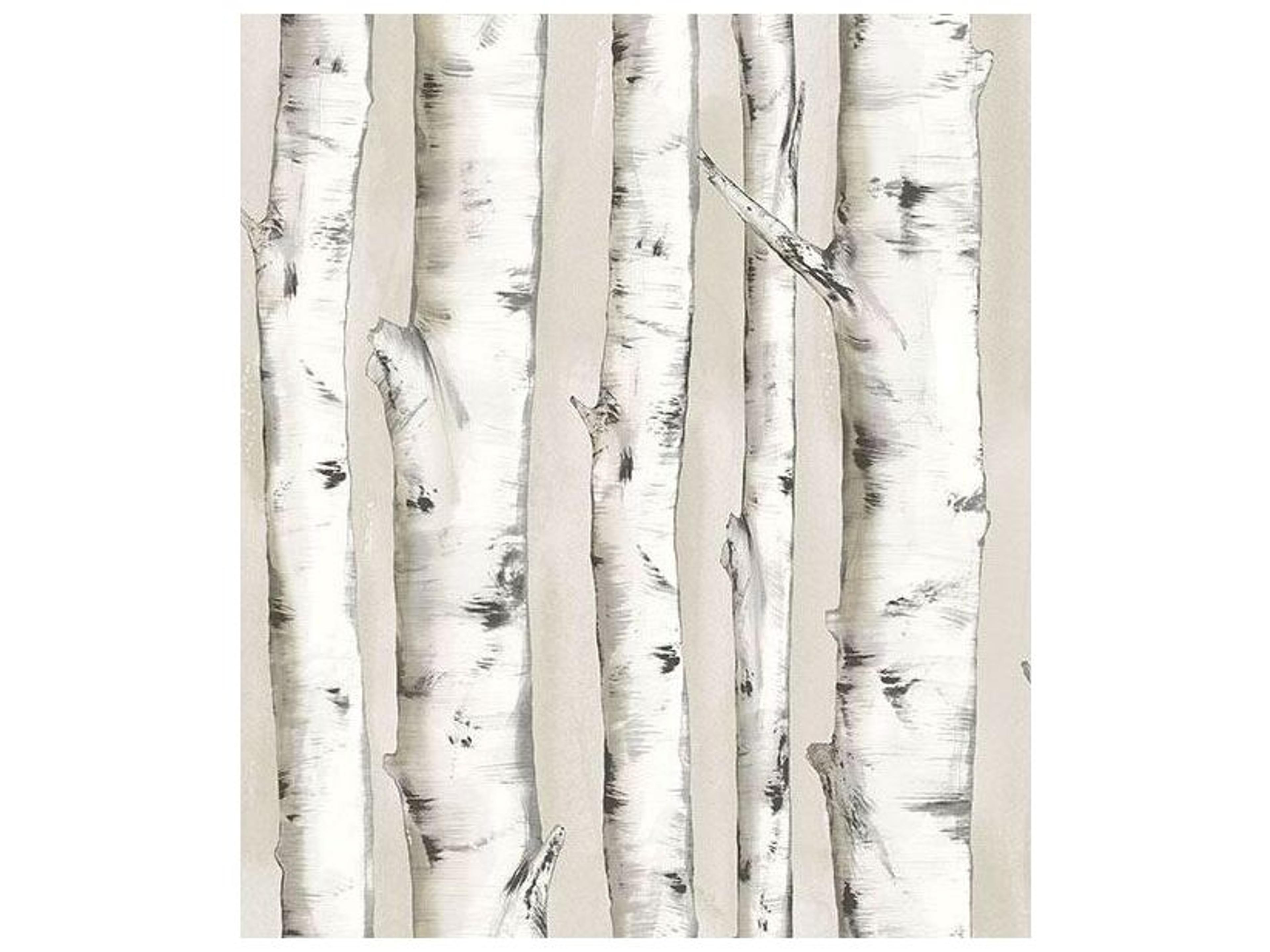Chesapeake Pioneer Off-White Birch Tree Wallpaper