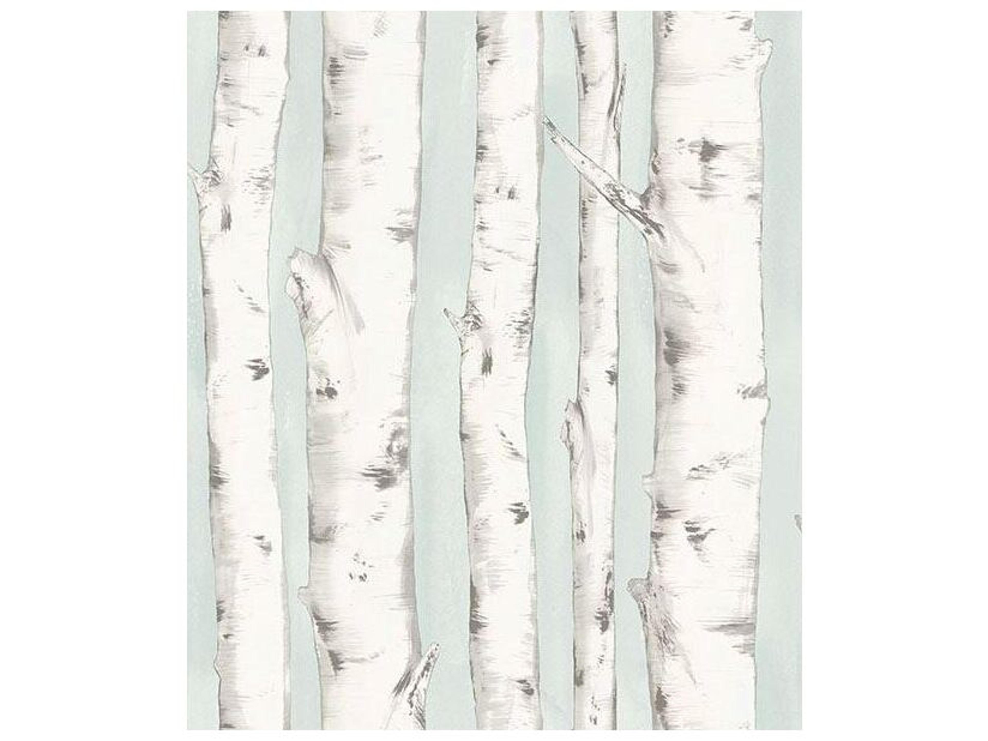 Chesapeake Pioneer Light Blue Birch Tree Wallpaper