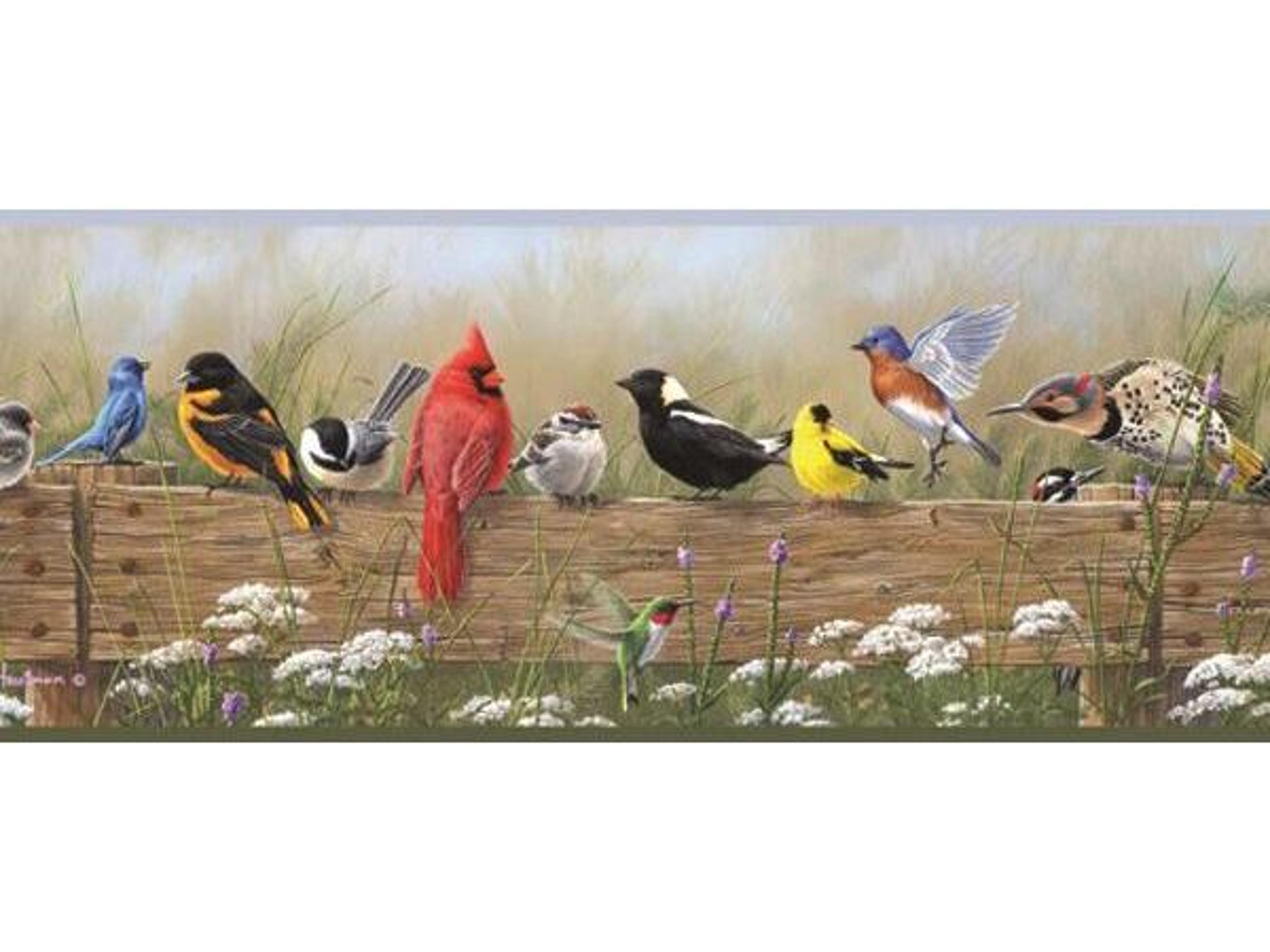Chesapeake Clarence Green Songbird Menagerie Portrait Border