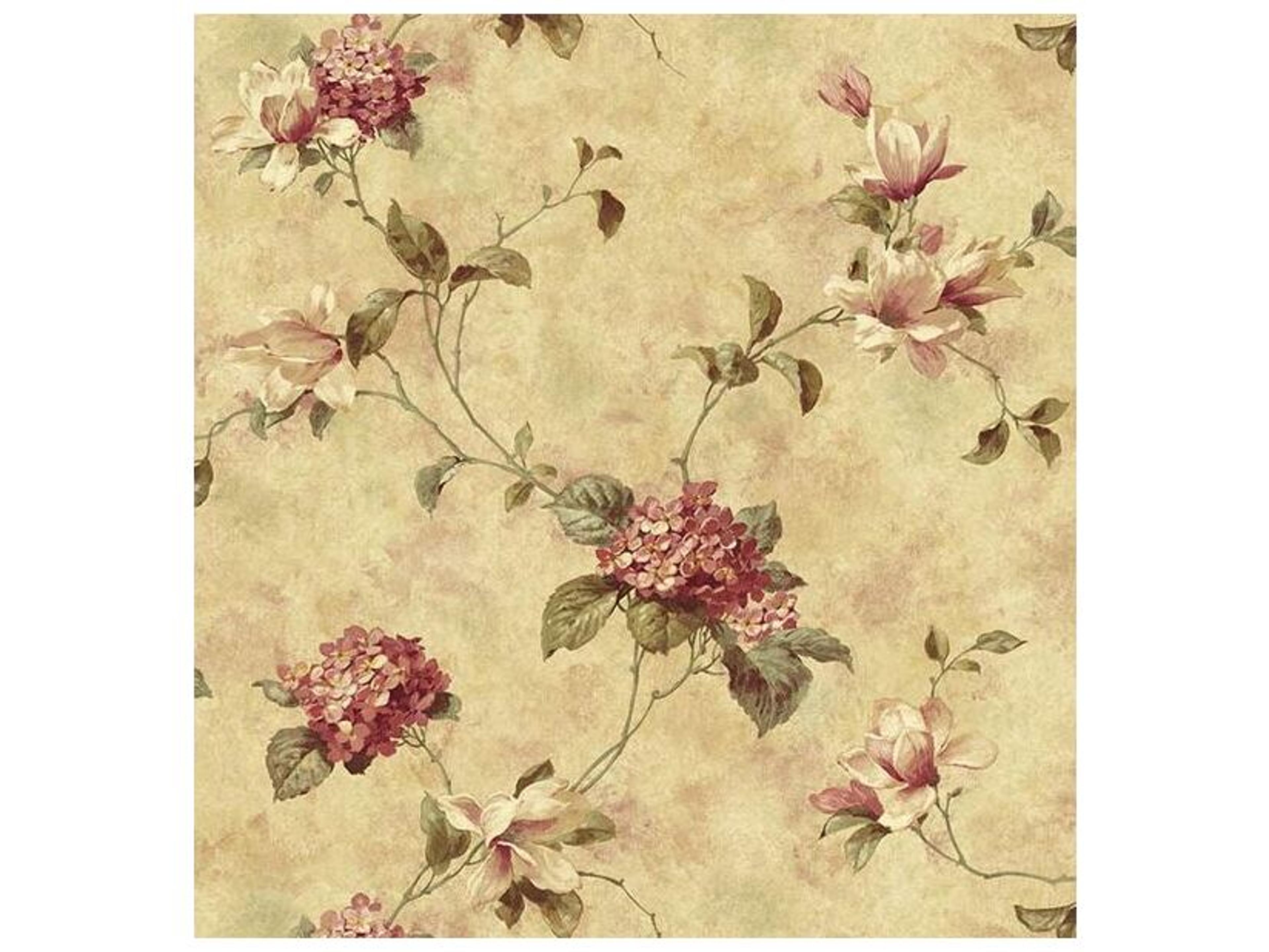 Chesapeake Hydrangea Maroon Trail