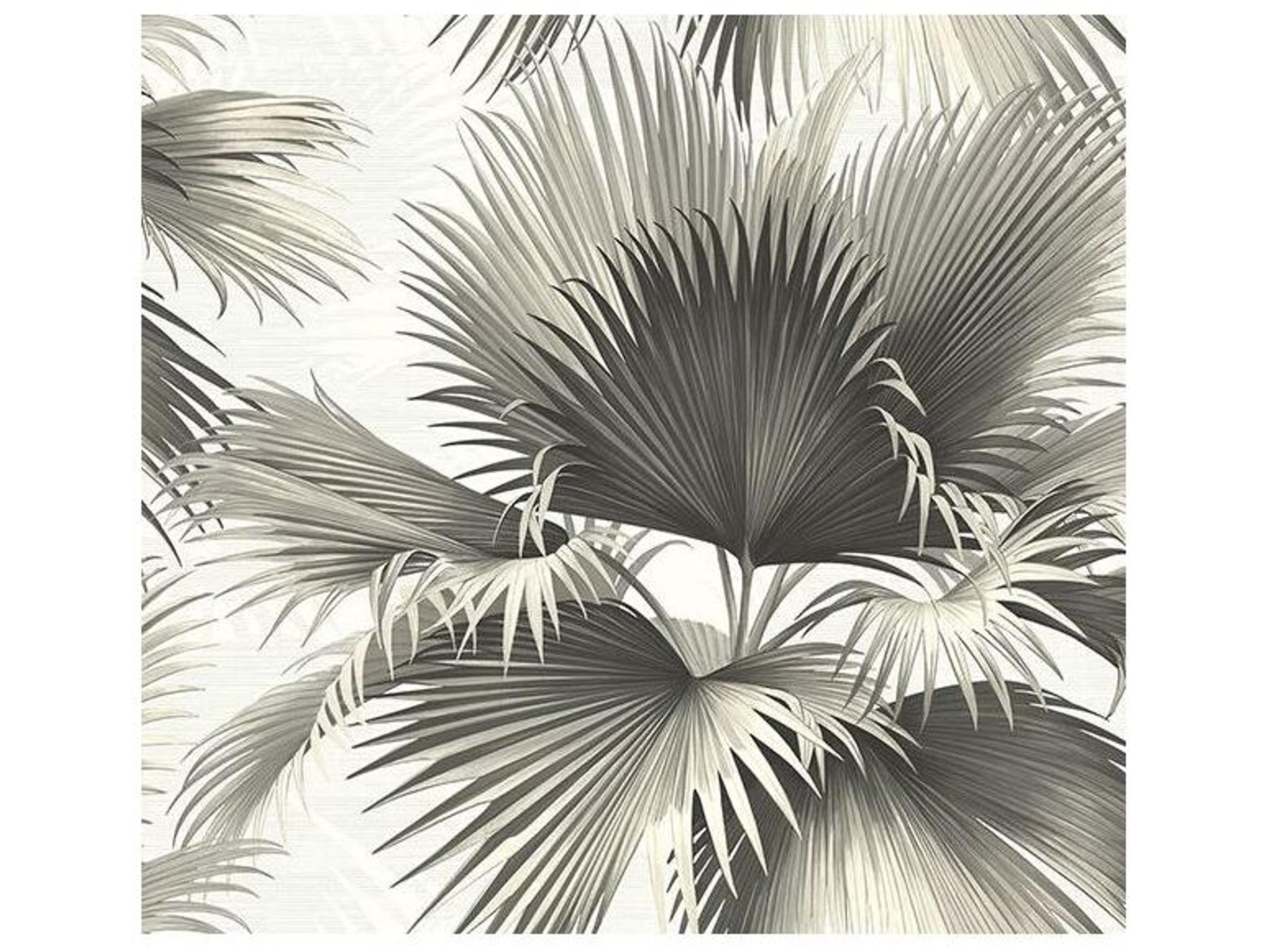 Brewster Home Fashions Kenneth James Endless Summer Black Palm Wallpaper