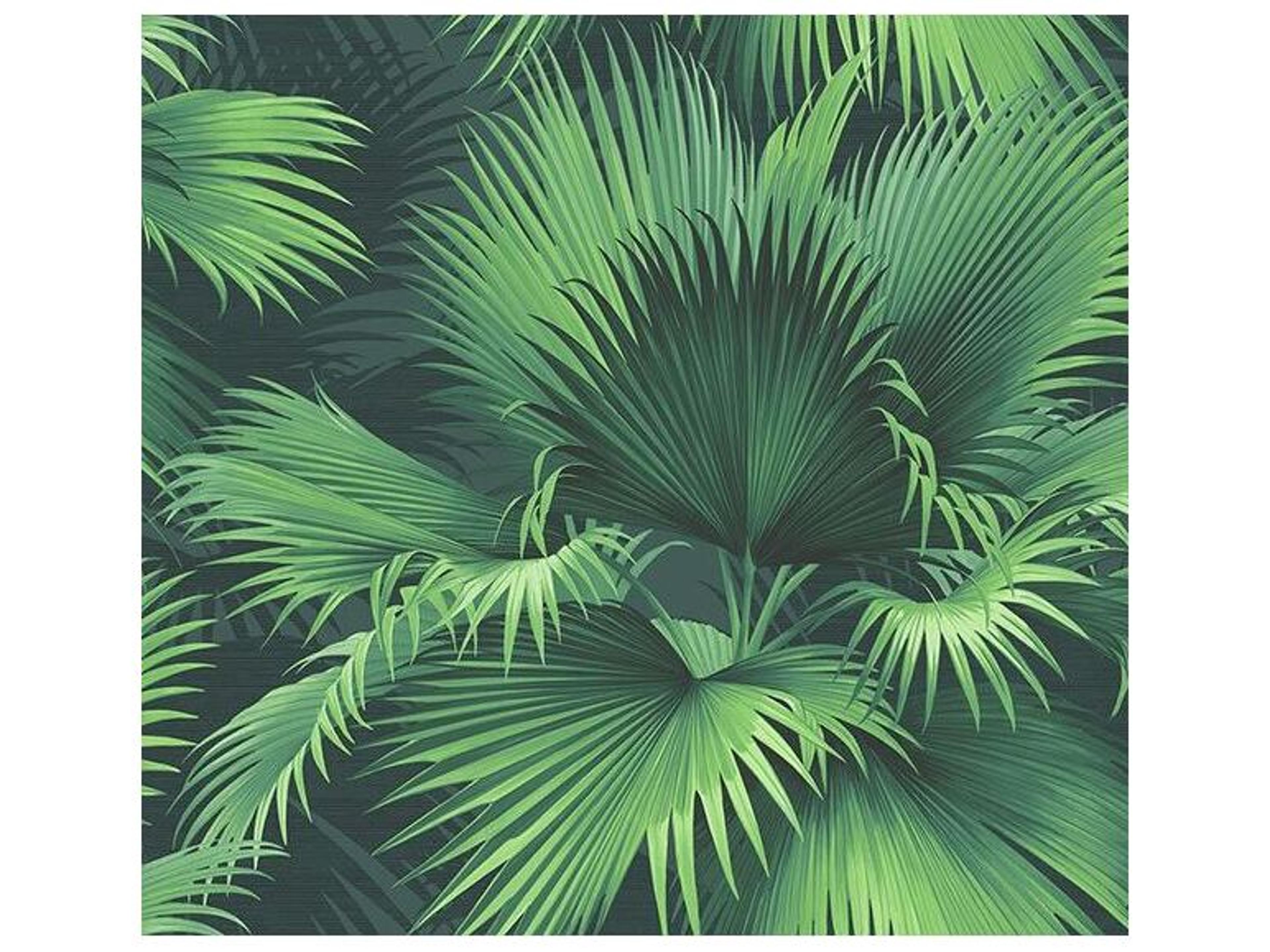 Kenneth James Endless Summer Dark Green Palm Wallpaper