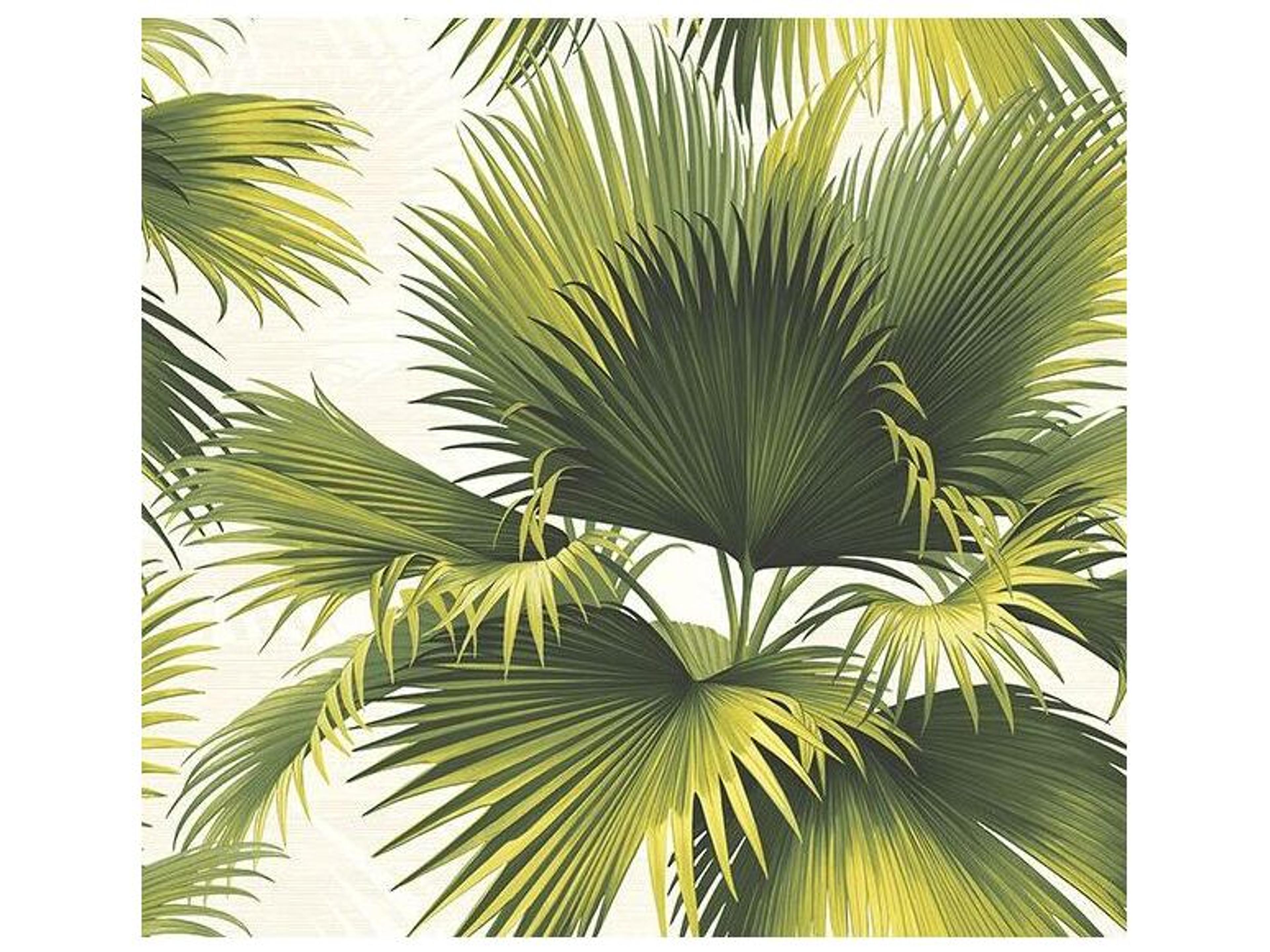 Kenneth James Endless Summer Green Palm Wallpaper