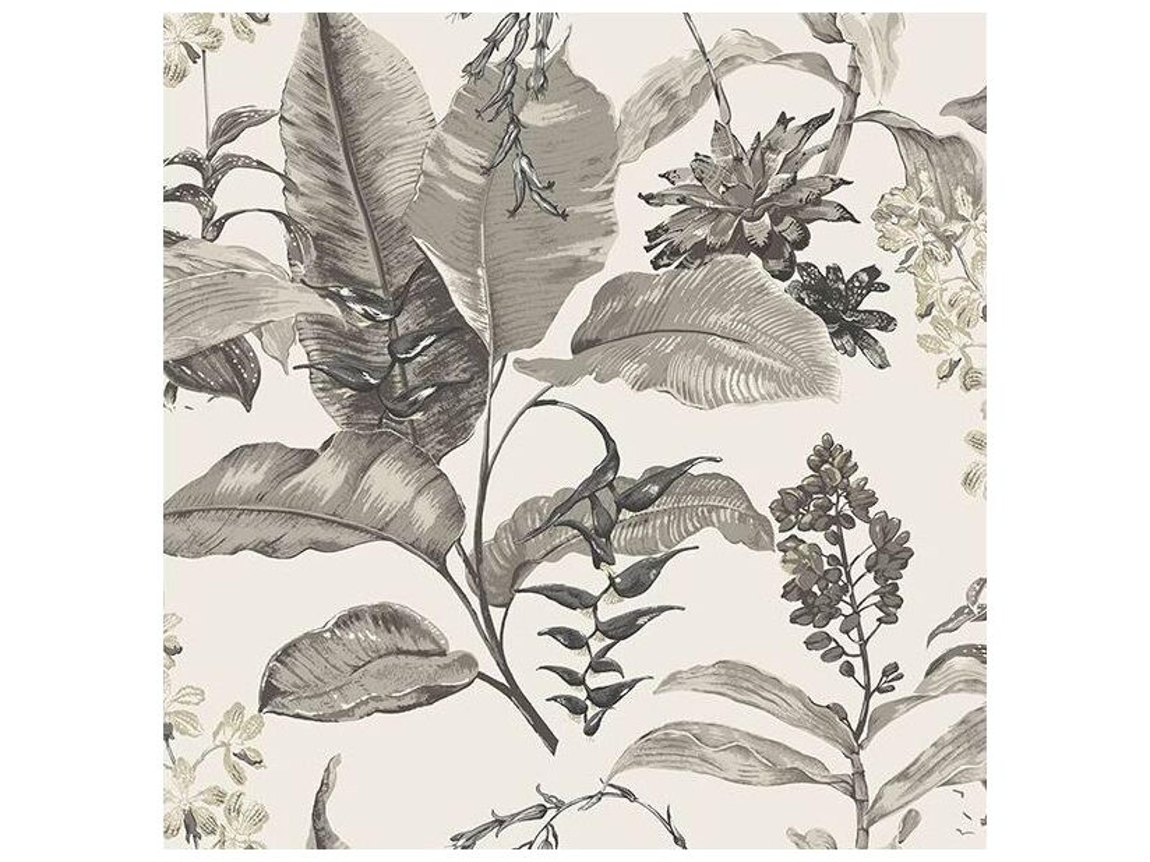 Brewster Home Fashions Kenneth James Maui White Botanical Wallpaper
