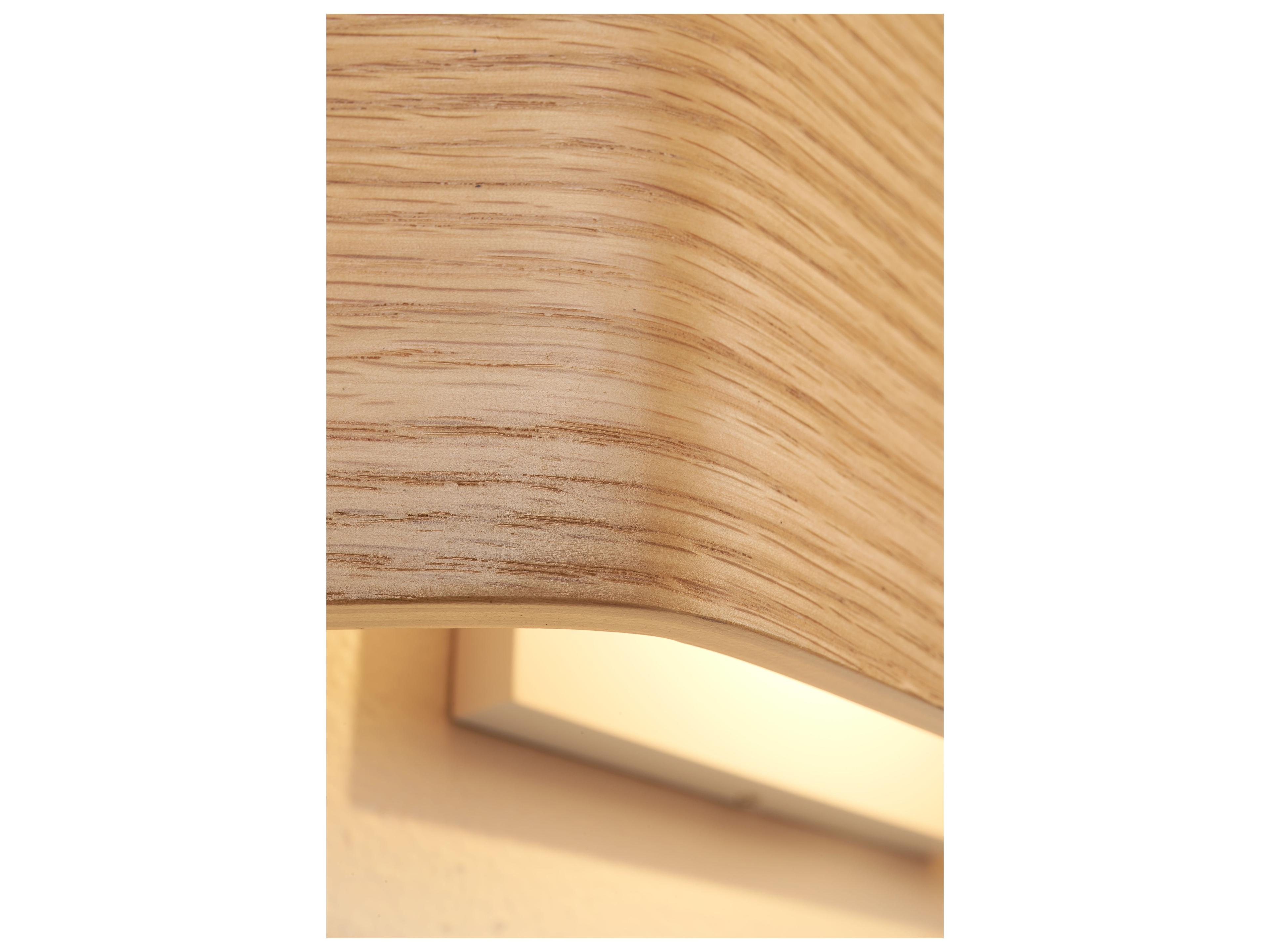 Bruck Lighting Zen Black LED Wall Sconce