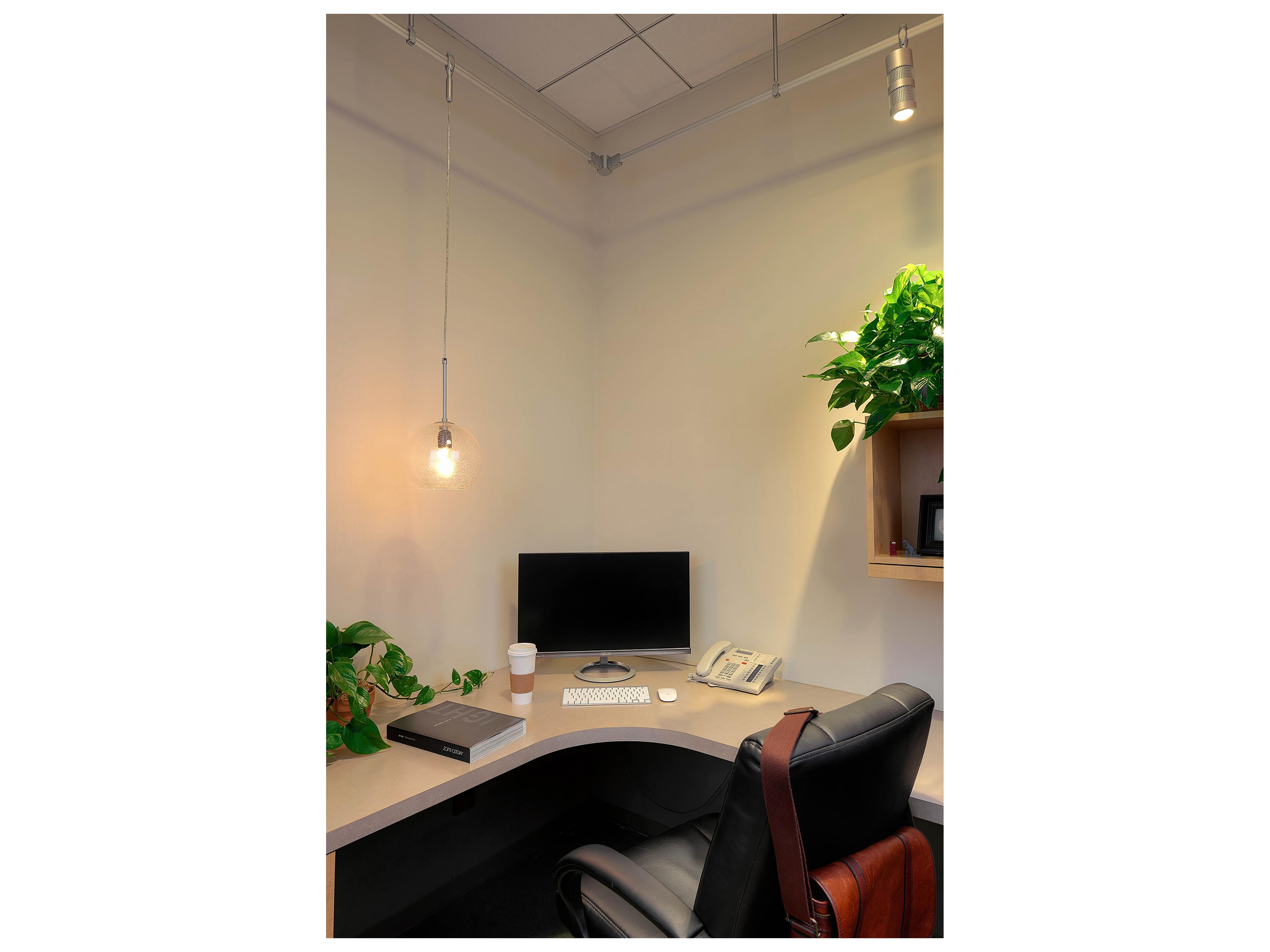 Bruck Lighting Bobo 1-Light Clear Glass LED Globe Mini Pendant