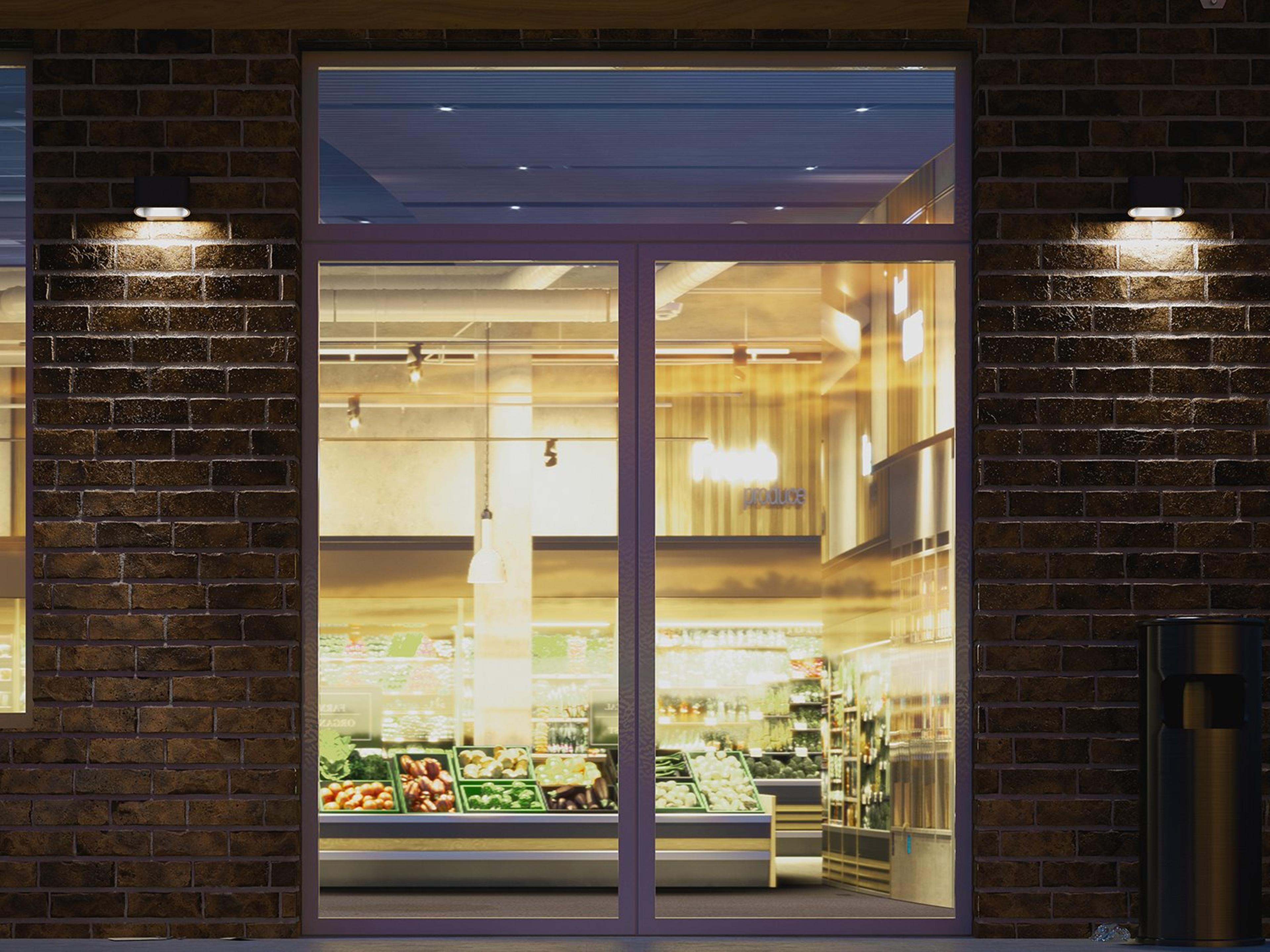 Bruck Lighting Eclipse 1 - Light Outdoor Wall Light