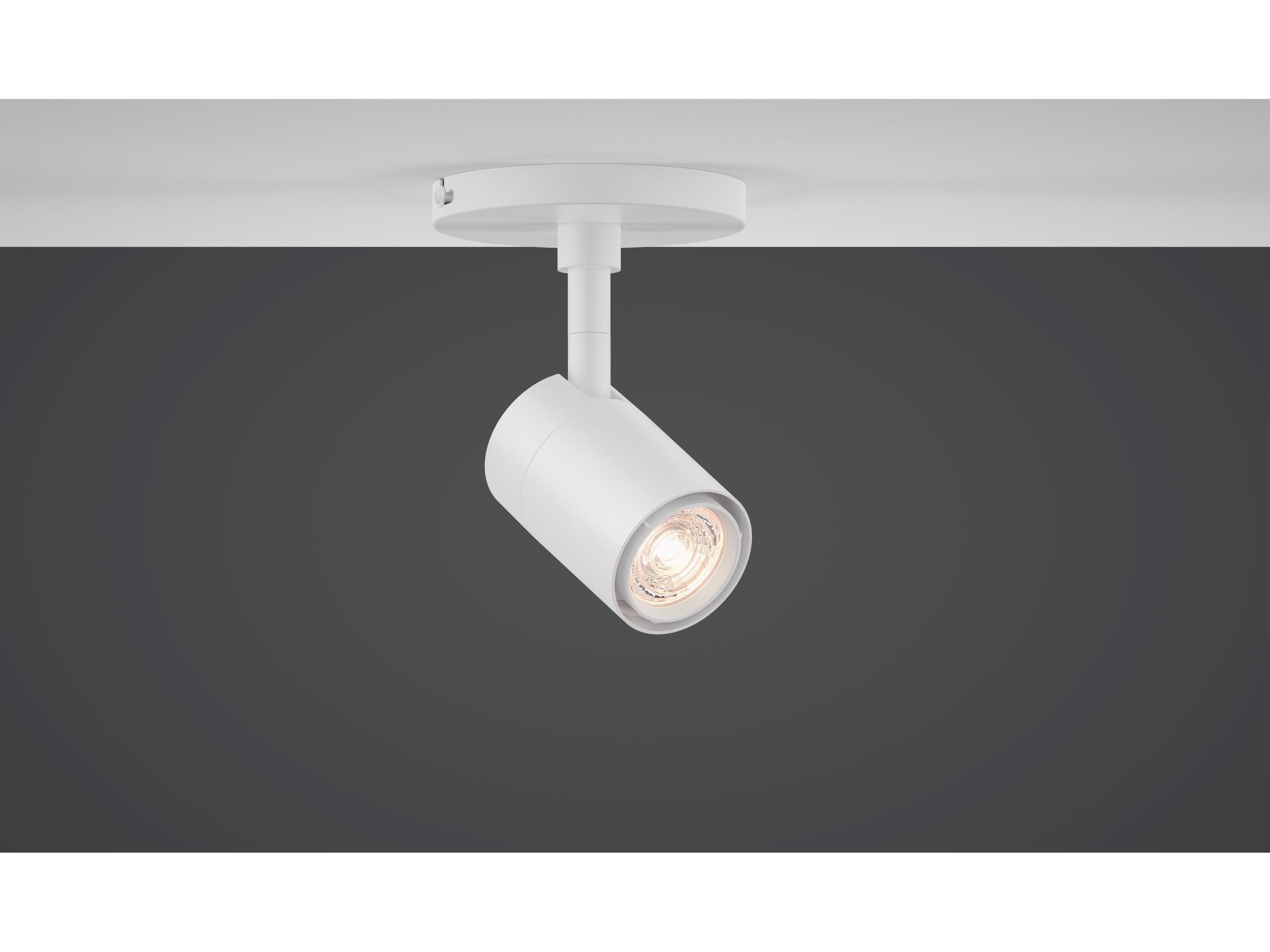 Bruck Lighting GX10 1-Light Cylinder Spot Light