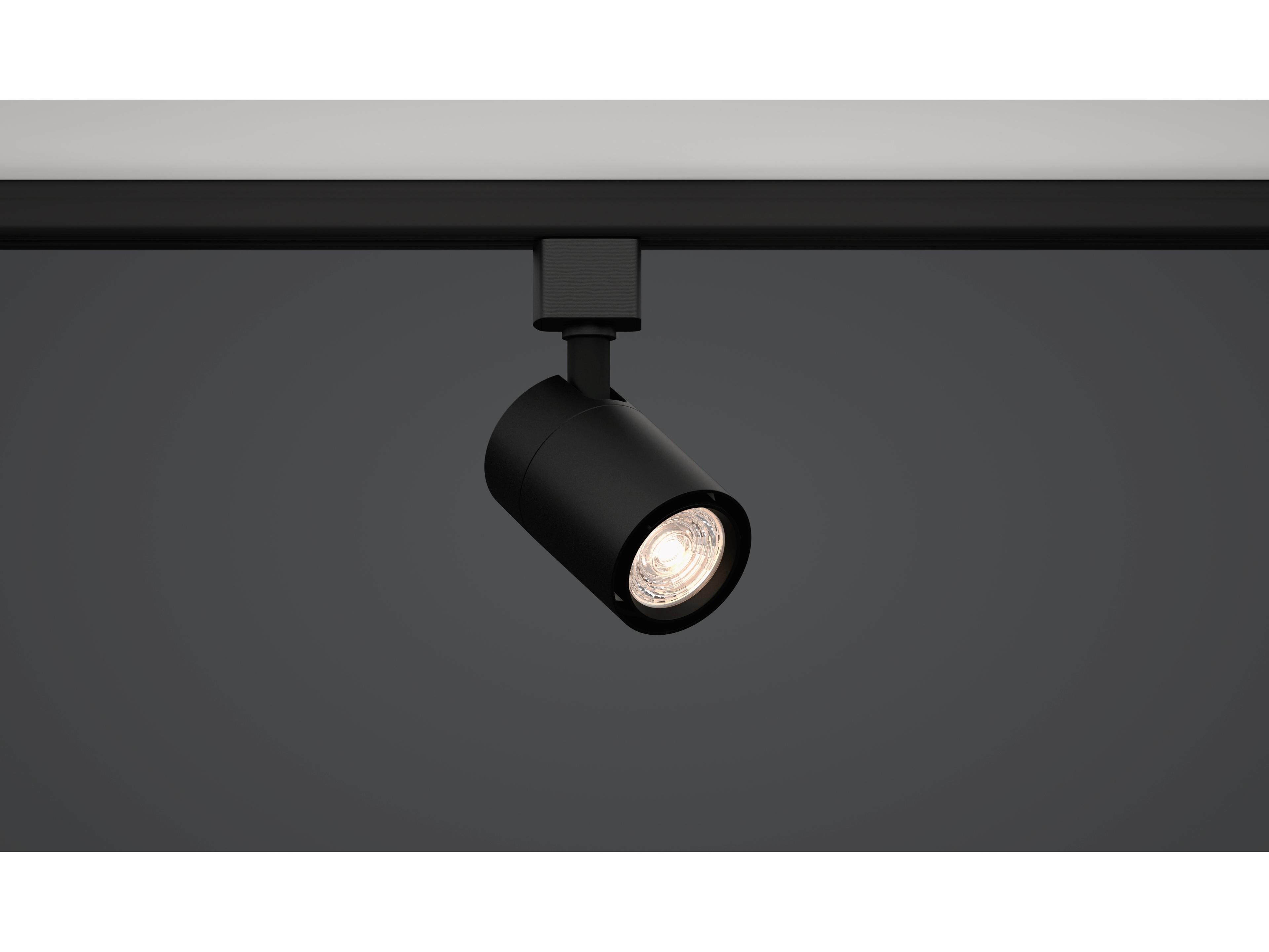Bruck Lighting GX10 1-Light Cylinder Track & Rail Light