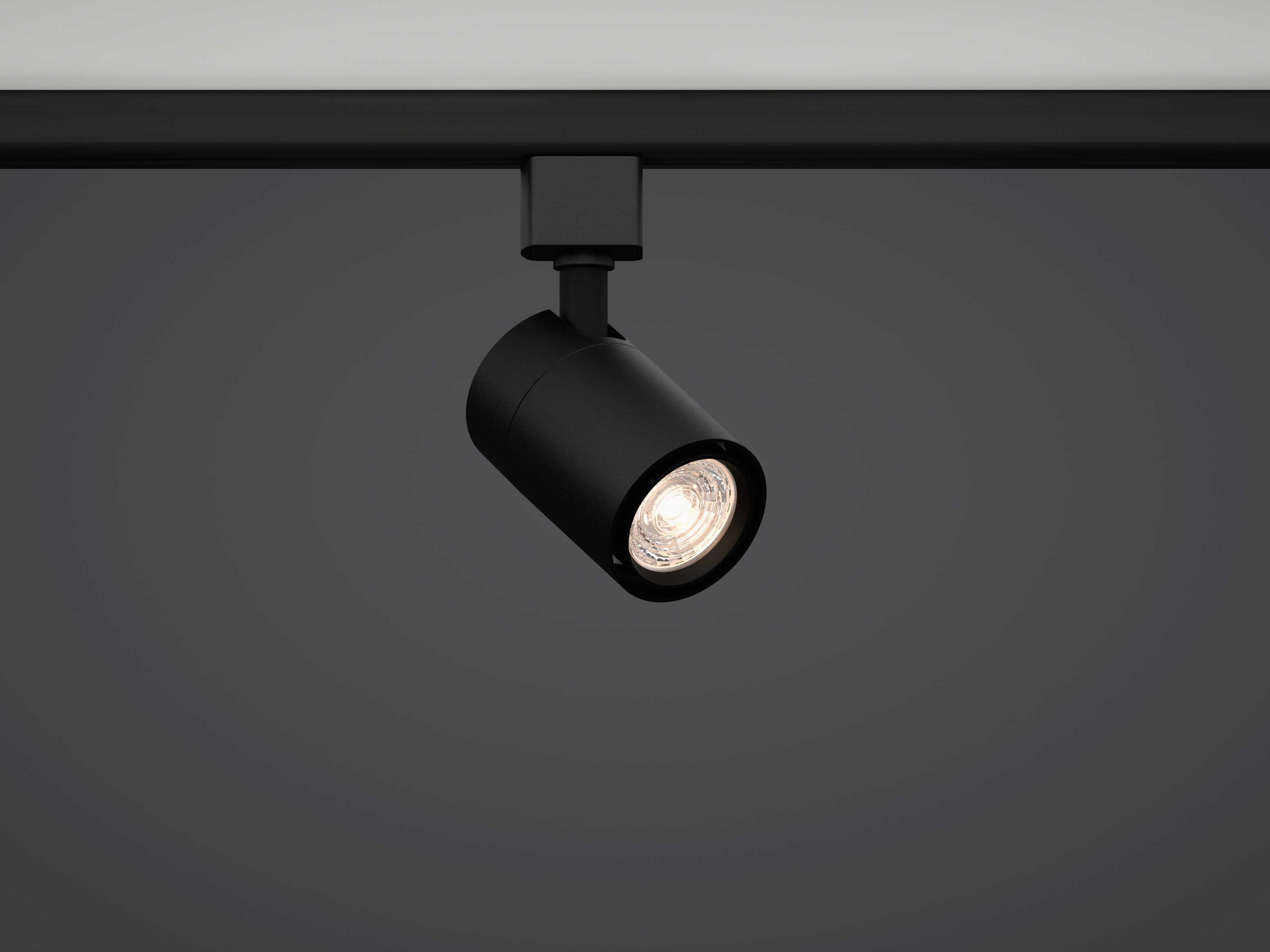 Bruck Lighting GX10 1-Light Cylinder Track & Rail Light