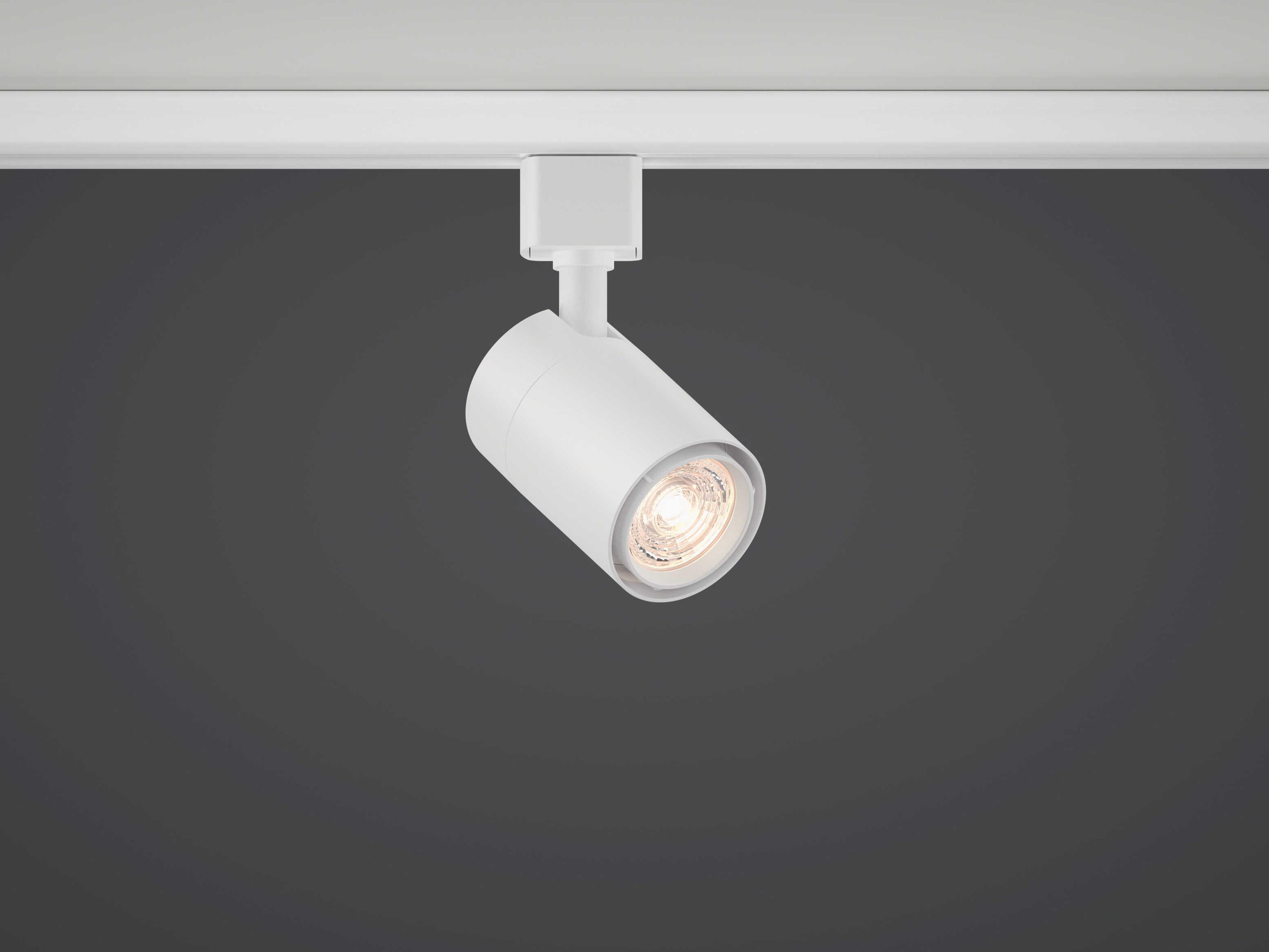 Bruck Lighting GX10 1-Light Cylinder Track & Rail Light