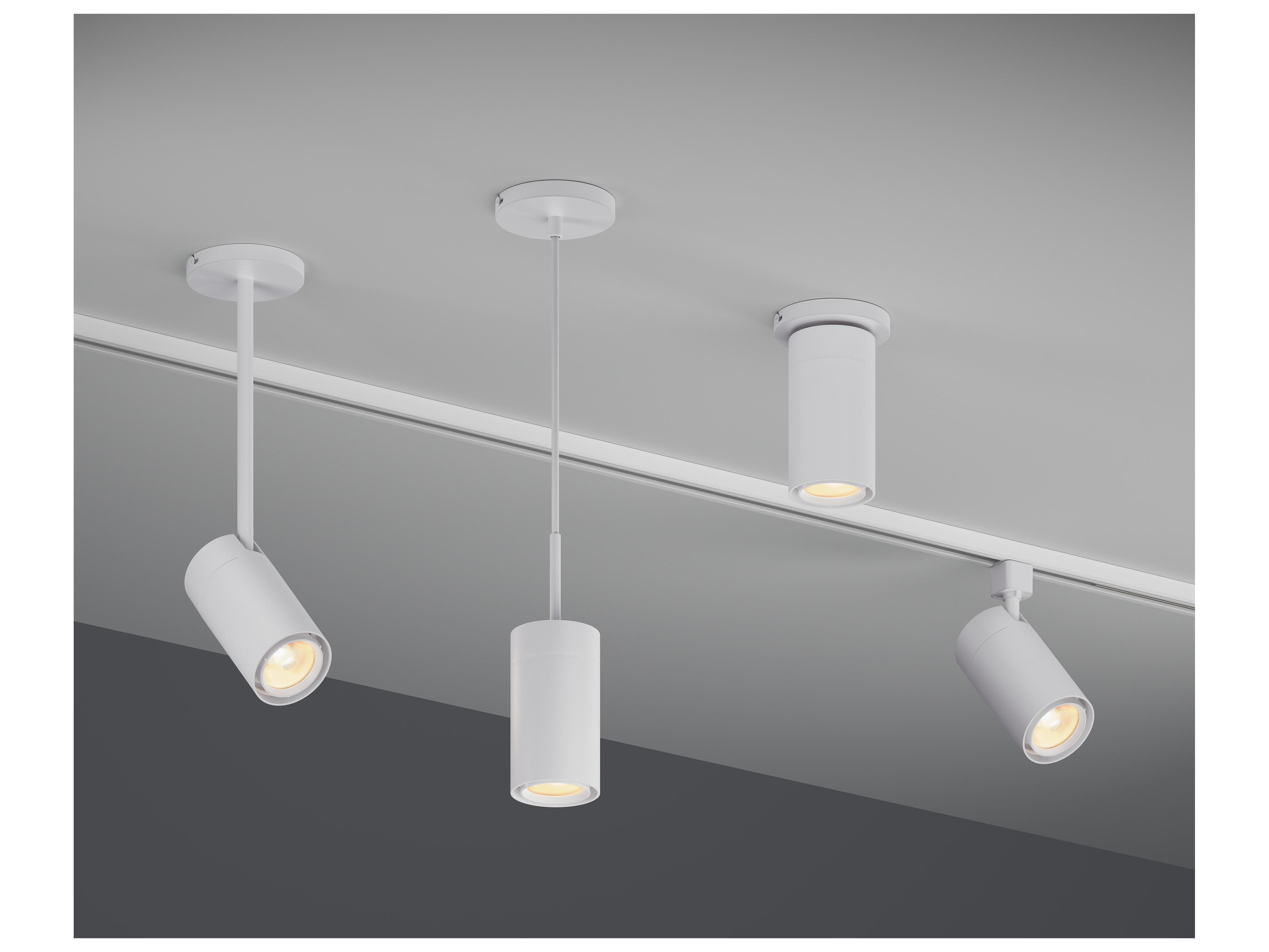 Bruck Lighting GX25 1-Light Cylinder Mini Pendant