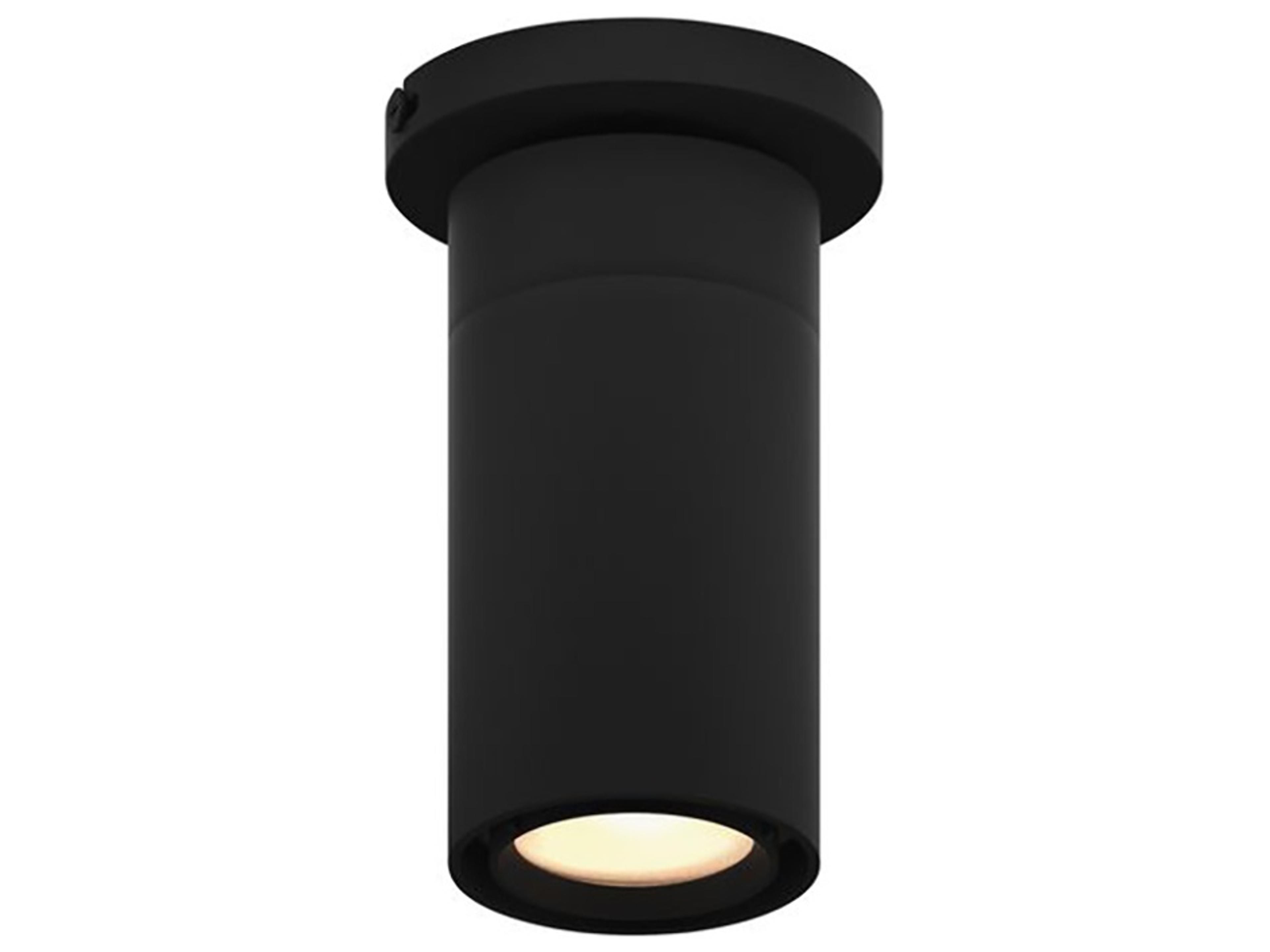 GX25 1-Light Cylinder Flush Mount