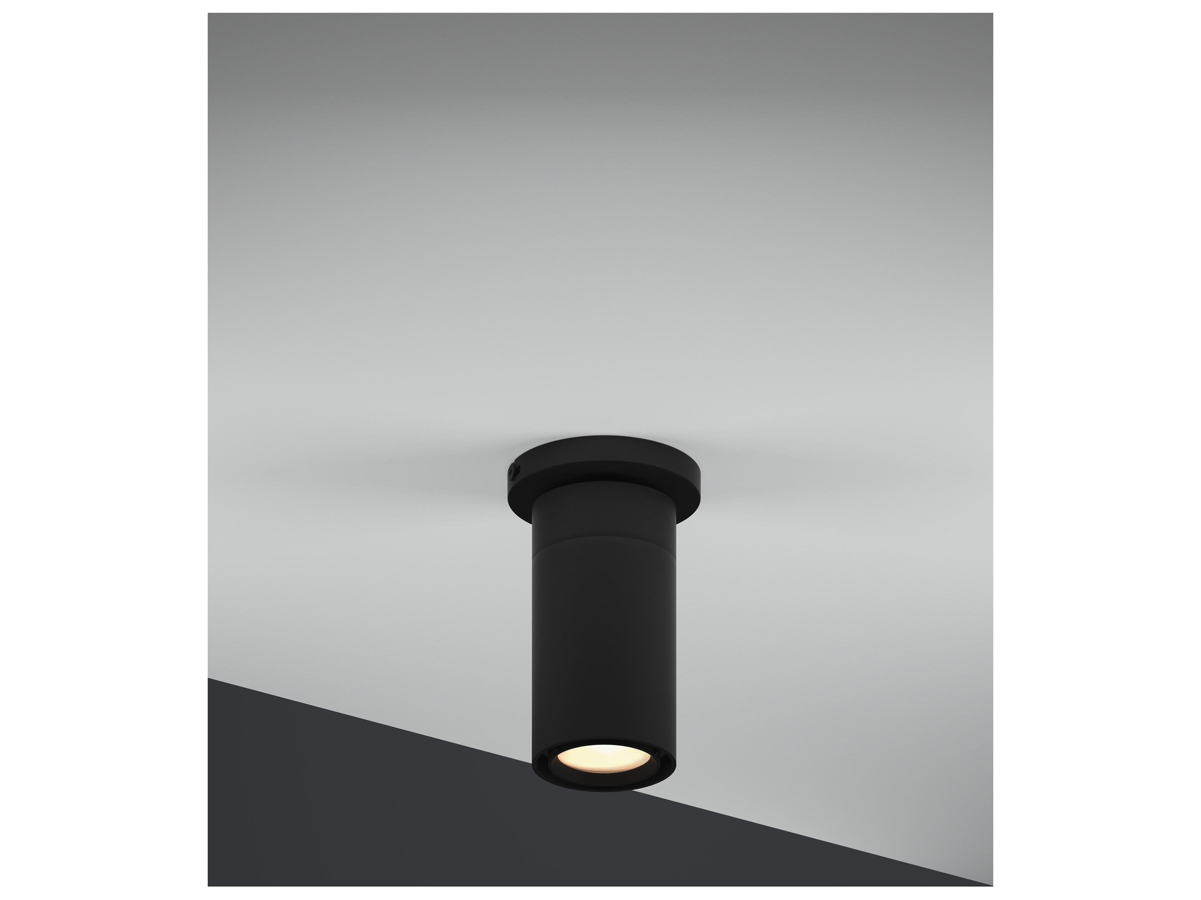 Bruck Lighting GX25 1-Light Cylinder Flush Mount