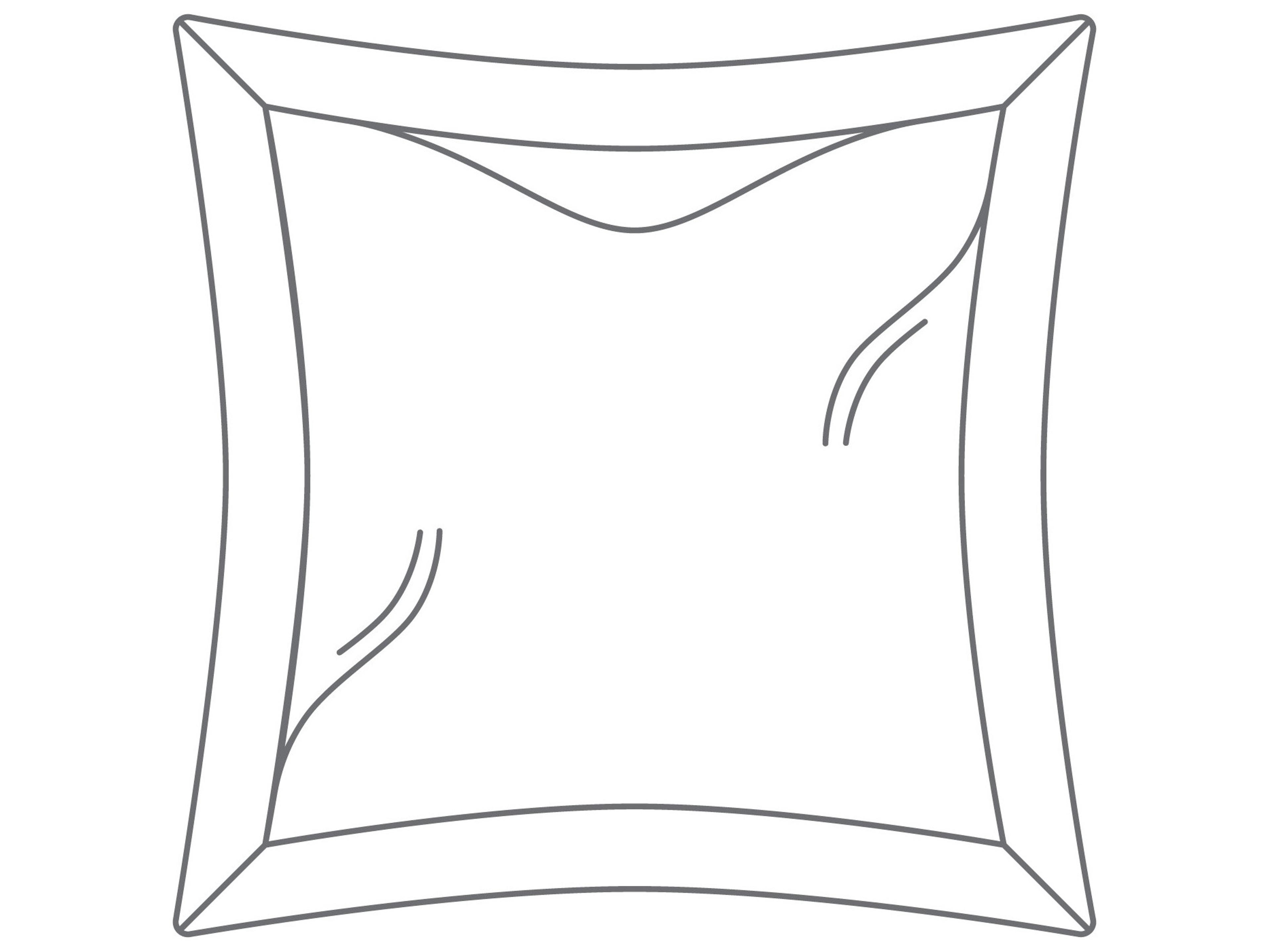 Lily Hive 24" x 24" Flanged Down Feather Throw Pillow