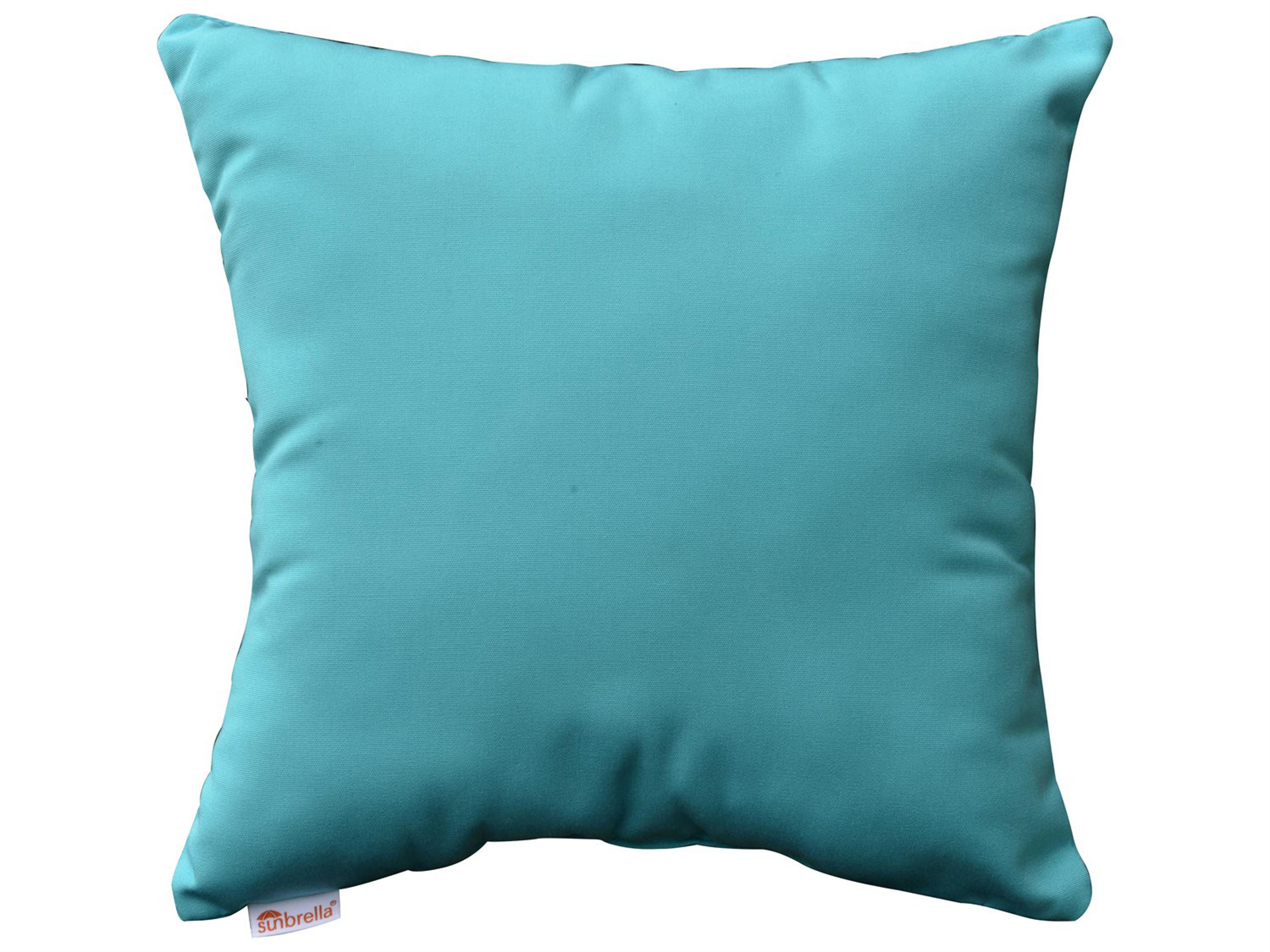 15'' x 15'' Throw Pillow