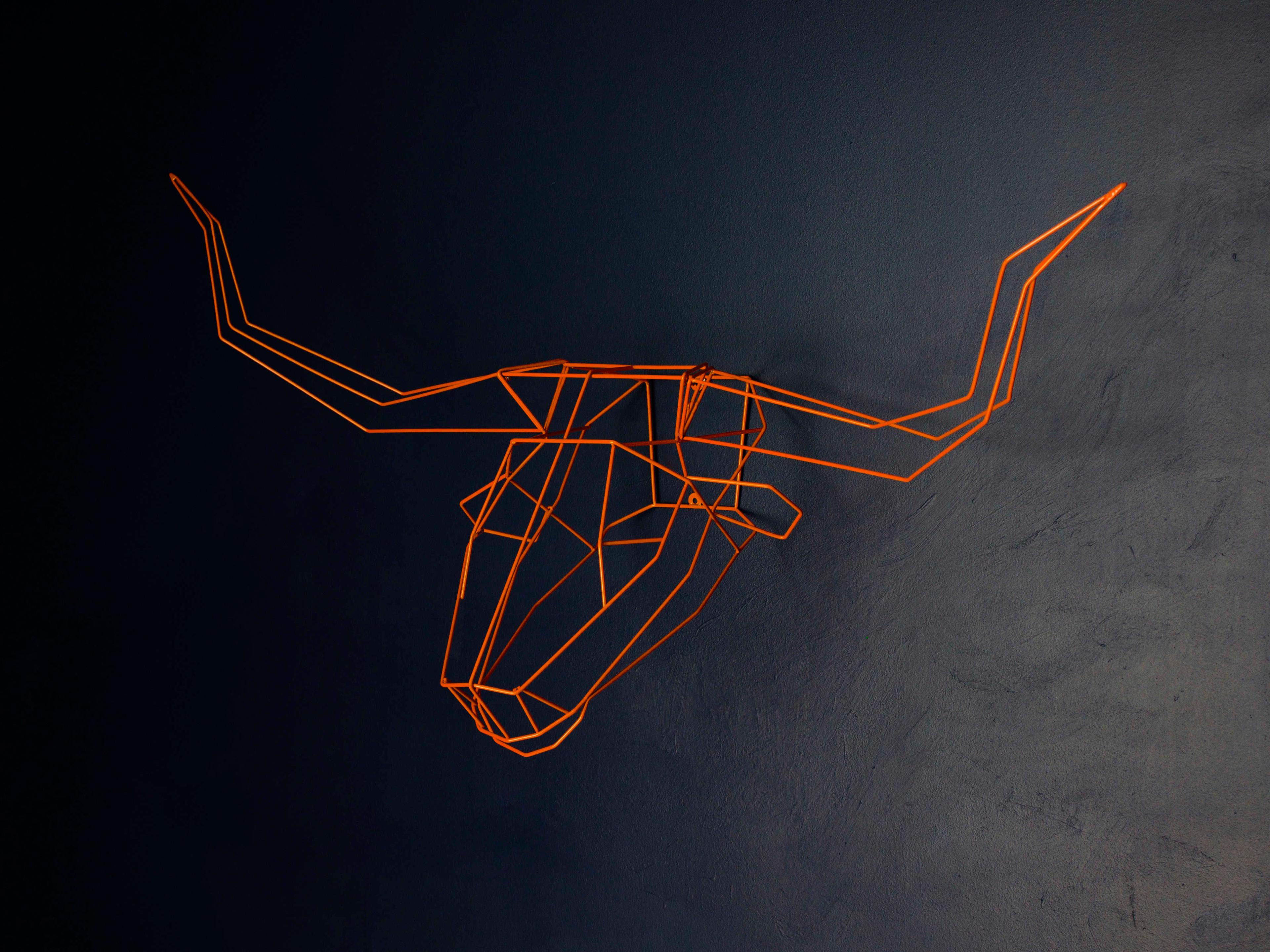 Bend Goods Outdoor Galvanized Iron Orange Long Horn Wall Decor