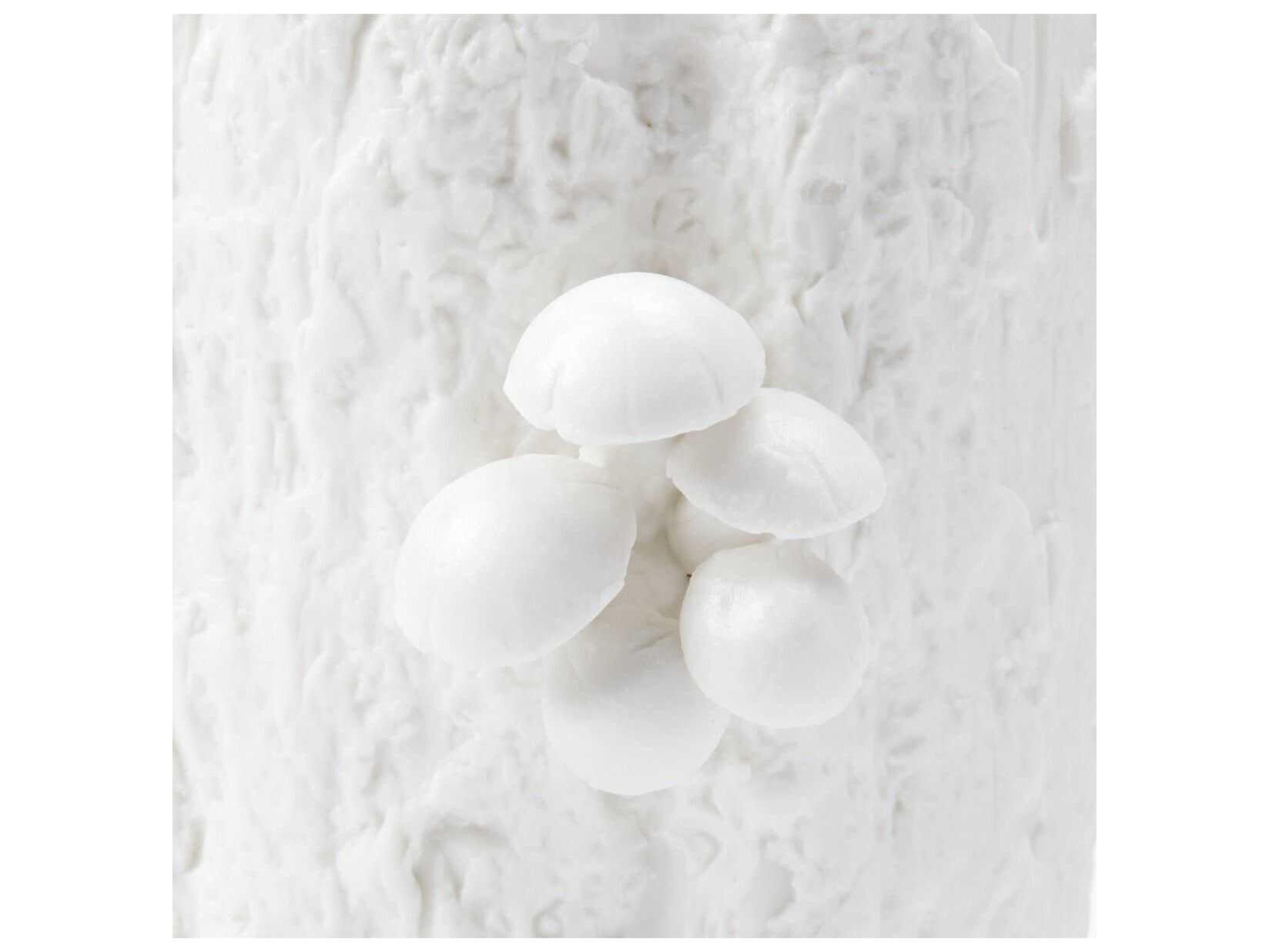 Villa & House Branch Blanc de Chine 10" Vase