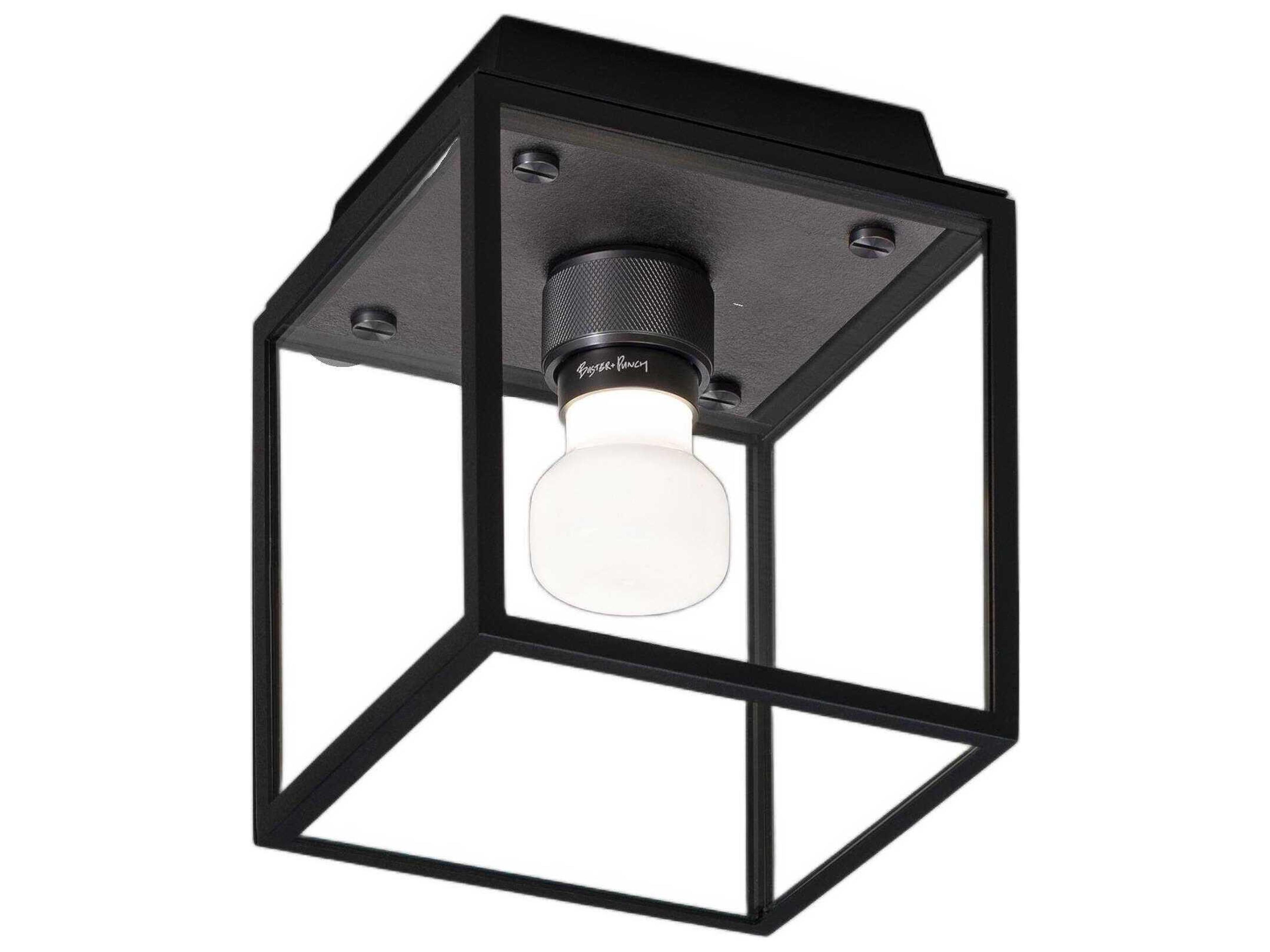 Caged 1-Light Outdoor Ceiling Light