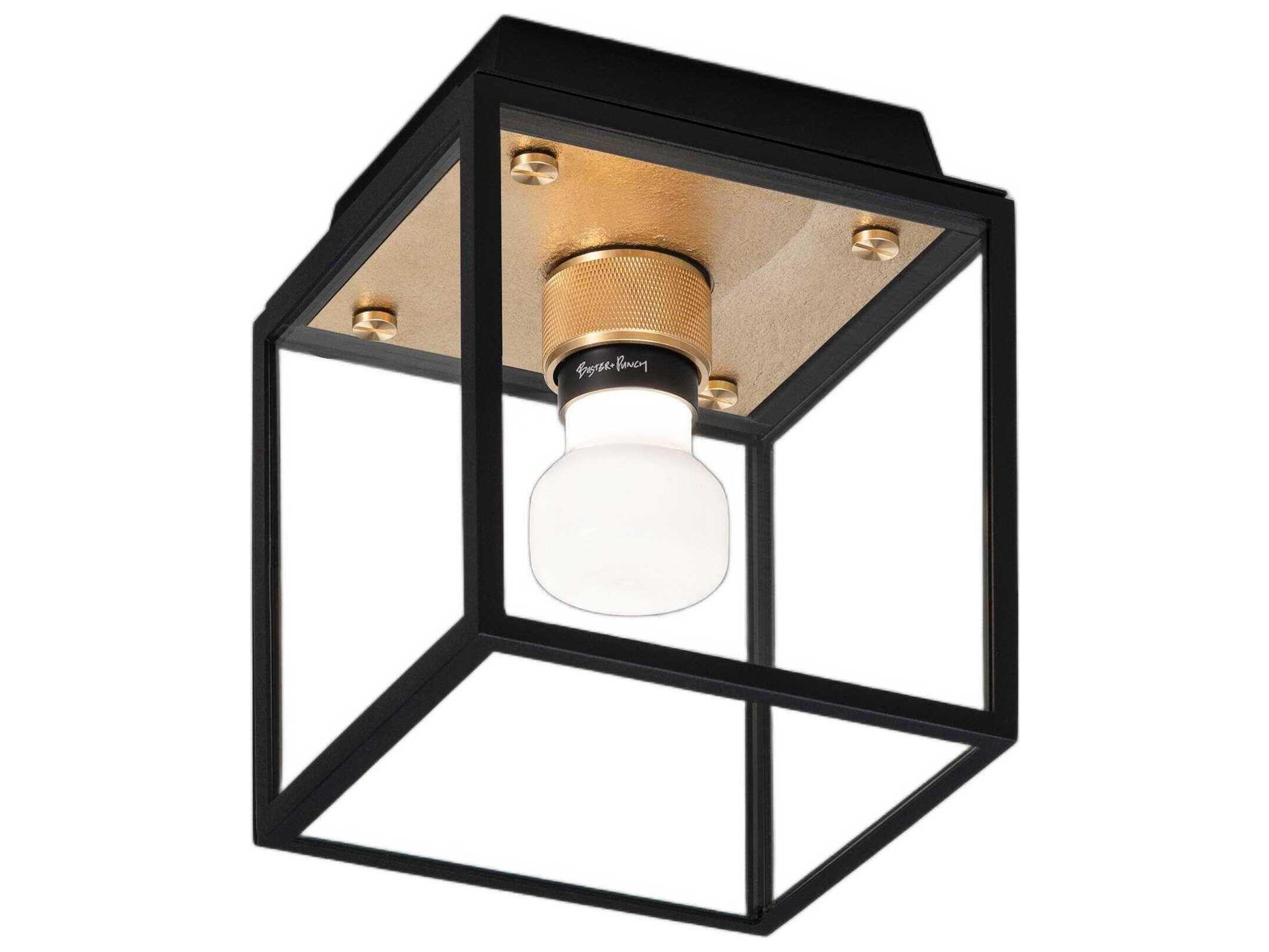 Caged 1-Light Outdoor Ceiling Light