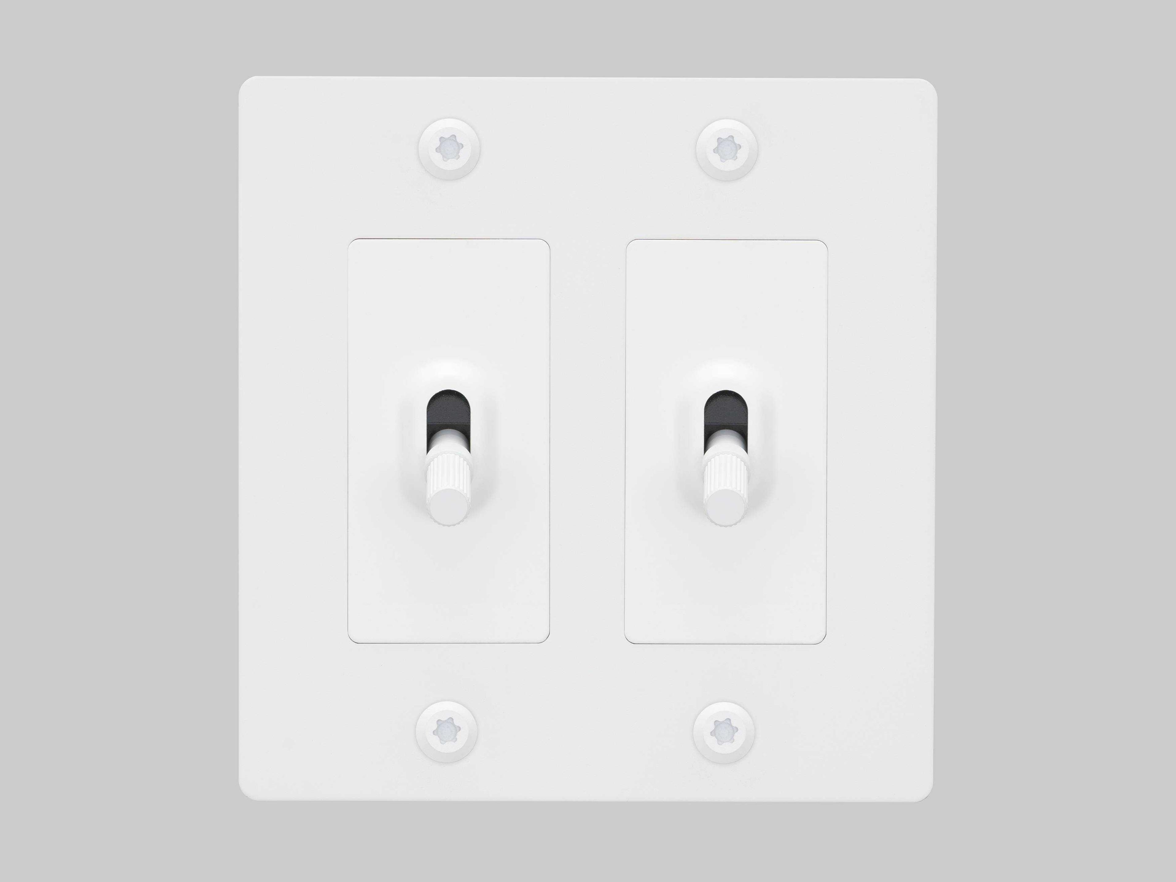 Buster + Punch 2G White Linear Toggle