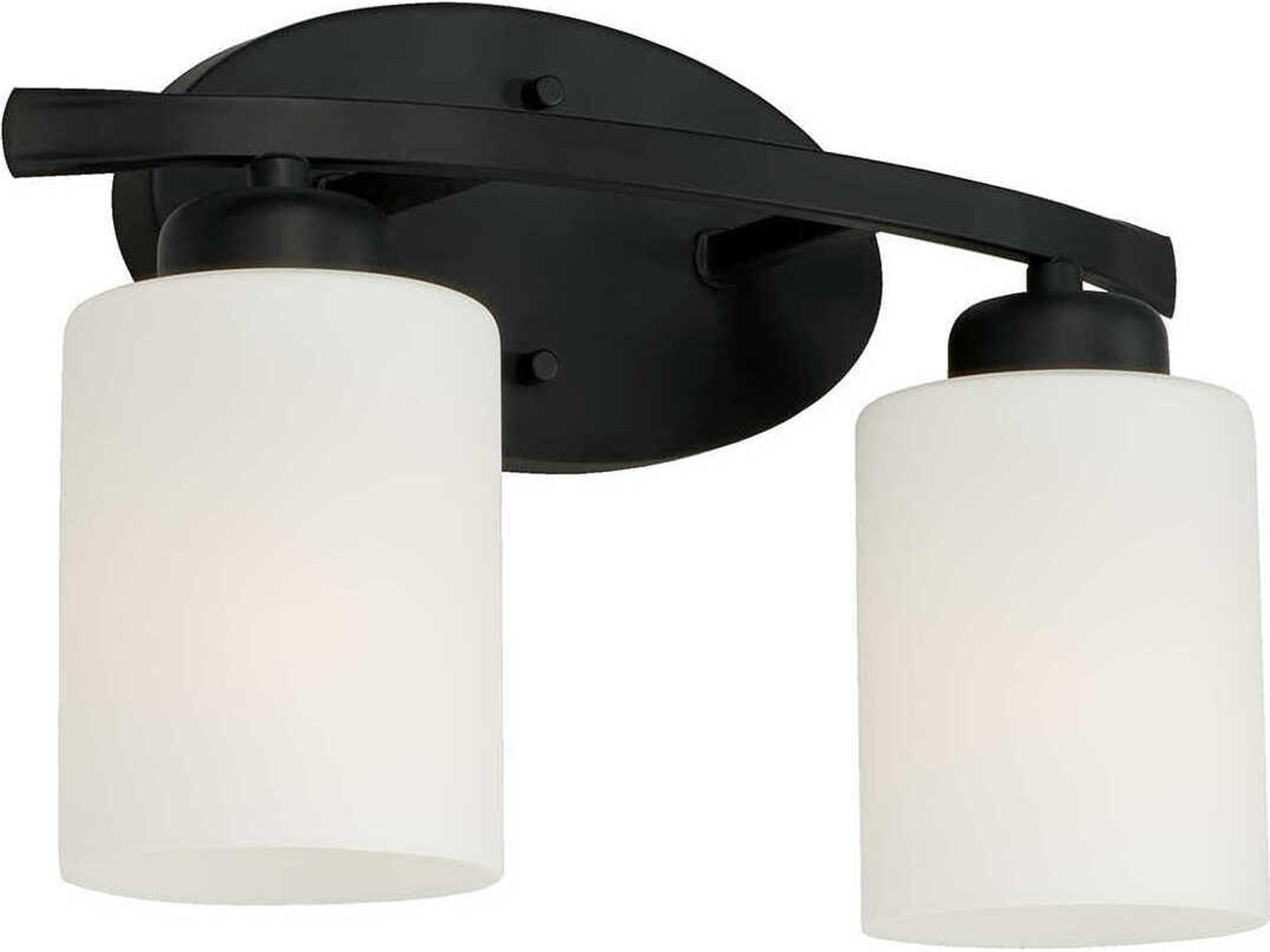 Dixon 2-Light Matte Black Glass Vanity Light