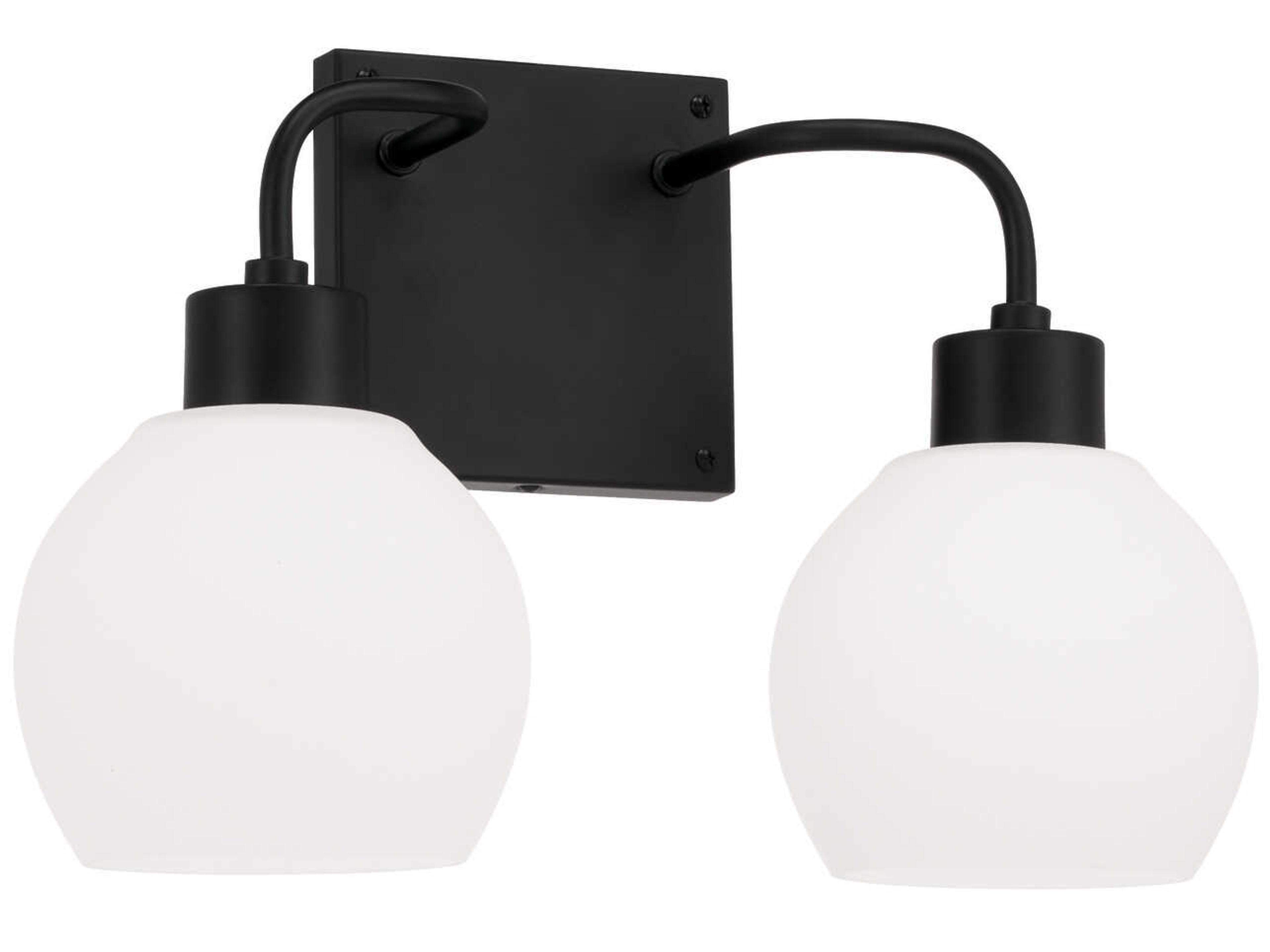 Tanner 2-Light Matte Black Glass Vanity Light
