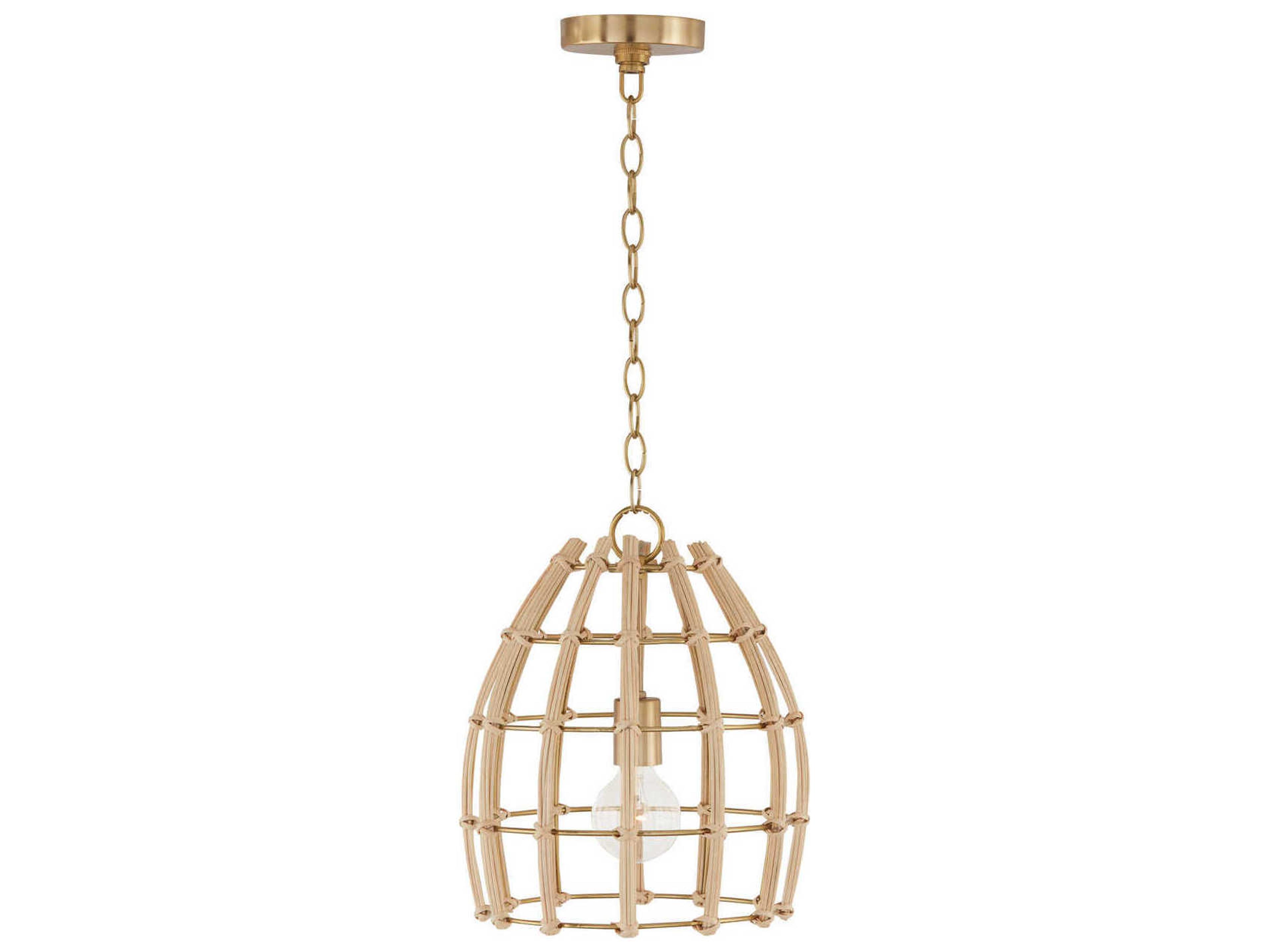 Capital Lighting Wren 1-Light Matte Brass Dome Mini Pendant