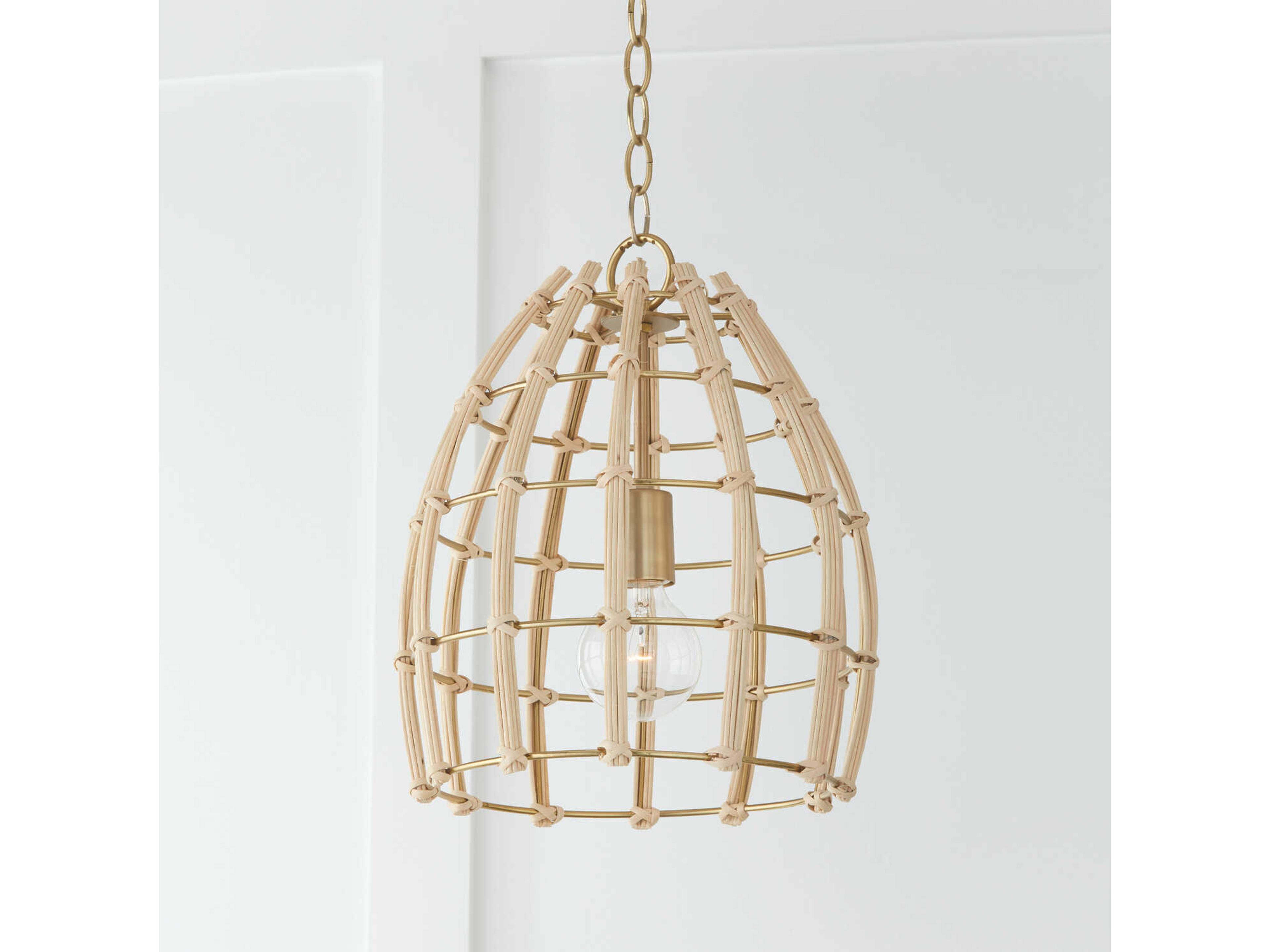 Capital Lighting Wren 1-Light Matte Brass Dome Mini Pendant