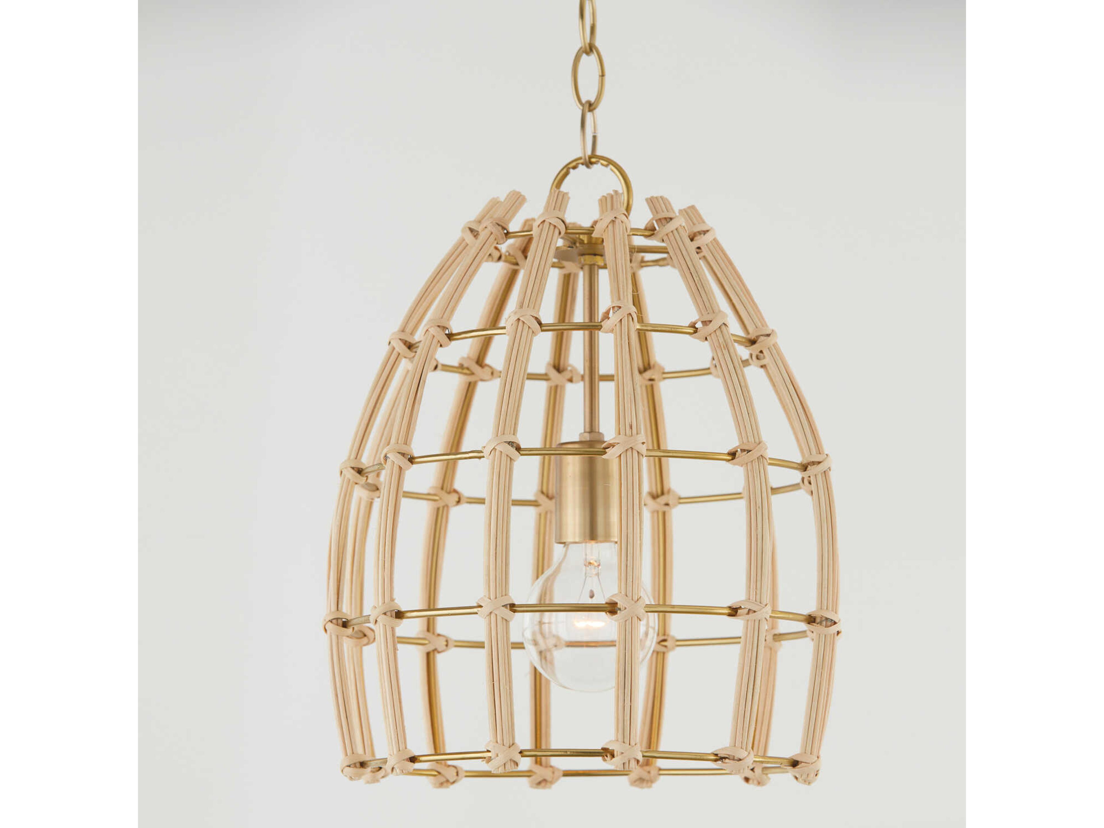 Capital Lighting Wren 1-Light Matte Brass Dome Mini Pendant
