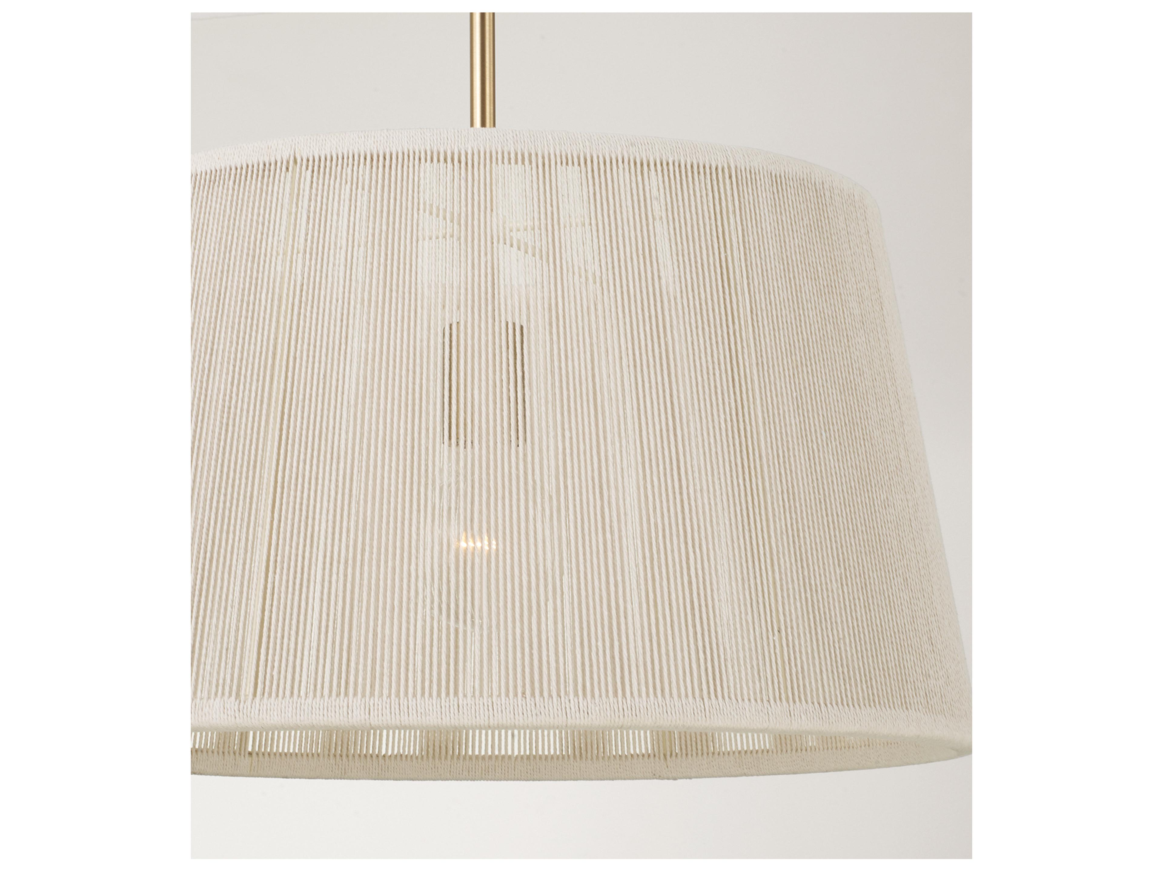 Capital Lighting Tara 1-light Matte Brass Drum Pendant