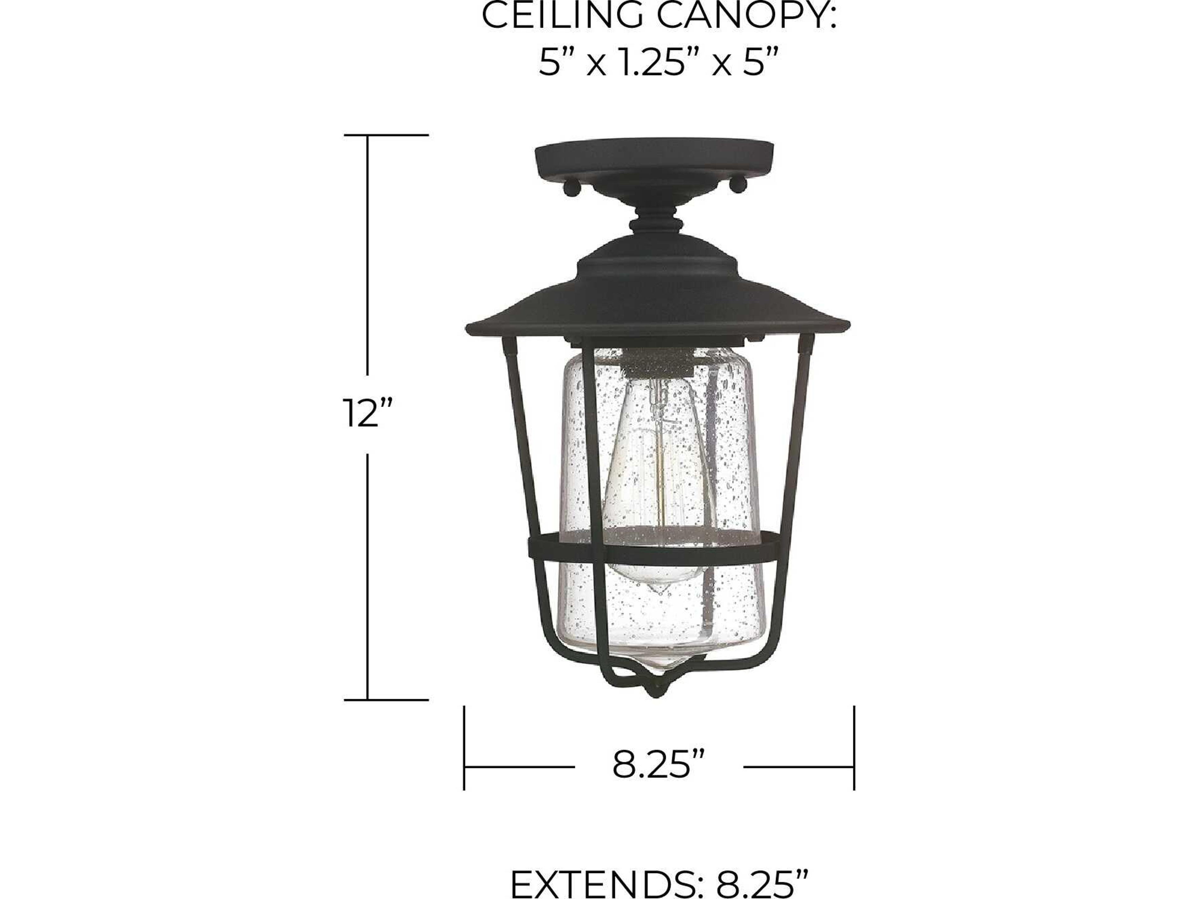 Capital Lighting Creekside Black Outdoor Ceiling Light