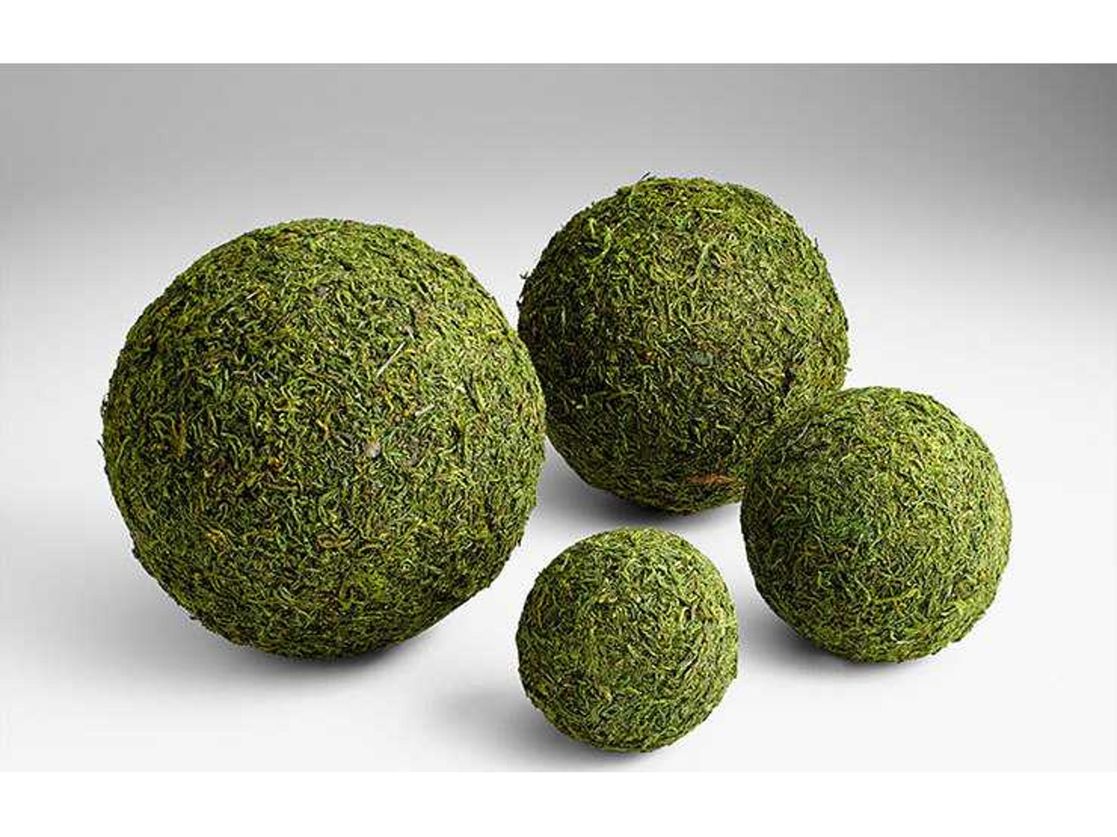 Cyan Design Bermuda Decorative Accent