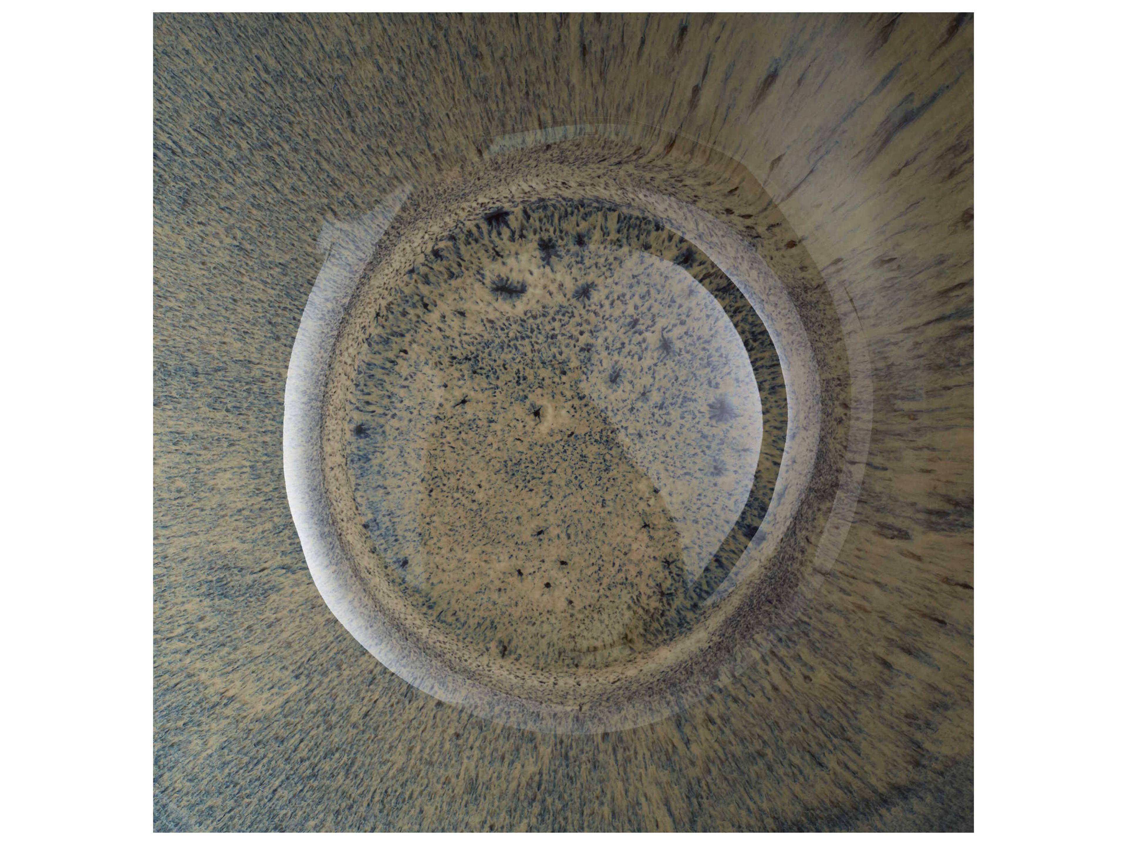 Cyan Design White Oyster Android Decorative Bowl