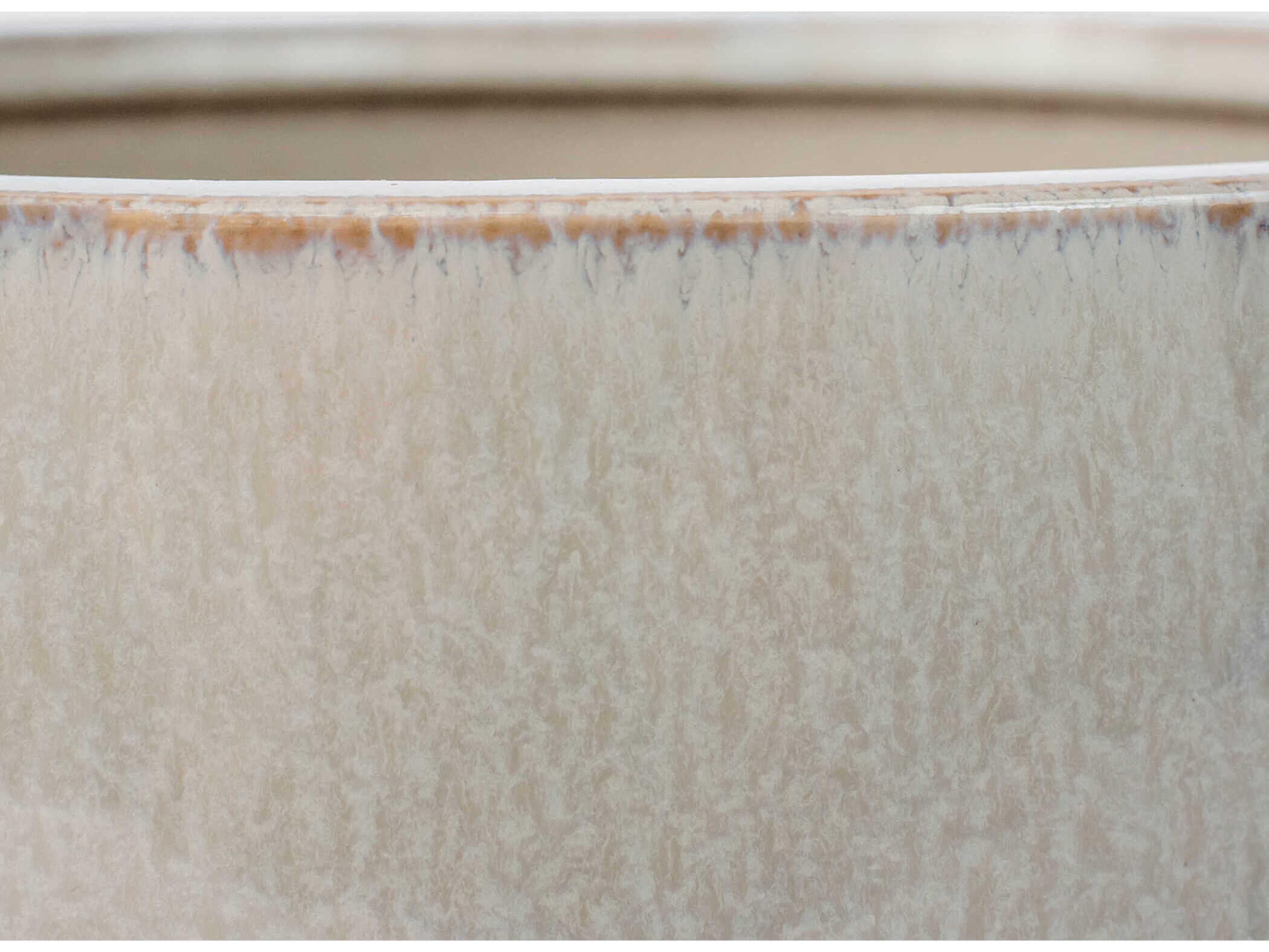 Cyan Design Shellish Grey Elevated Decorative Bowl