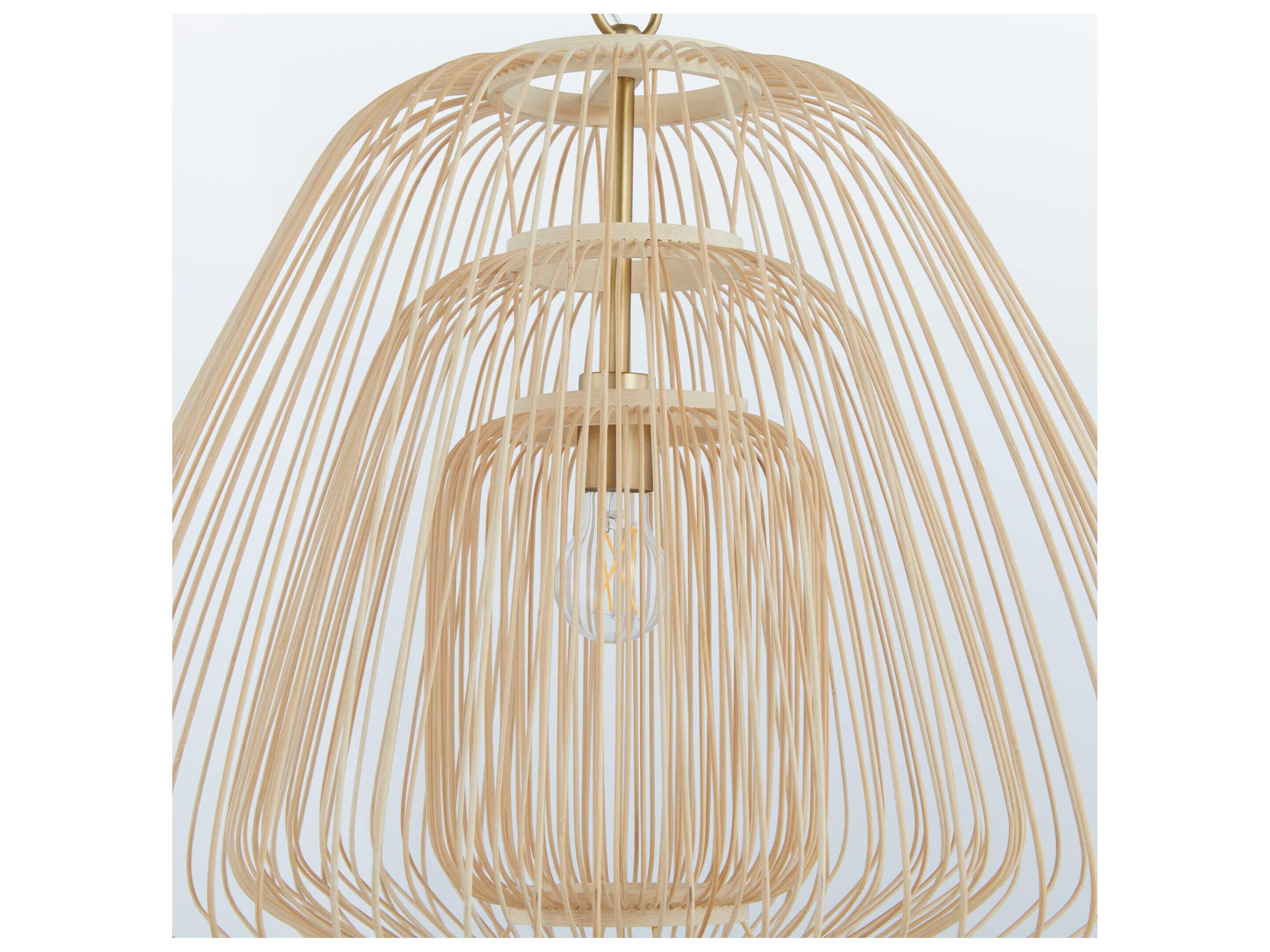 Cyan Design Terrae 1-Light Aged Brass Pendant