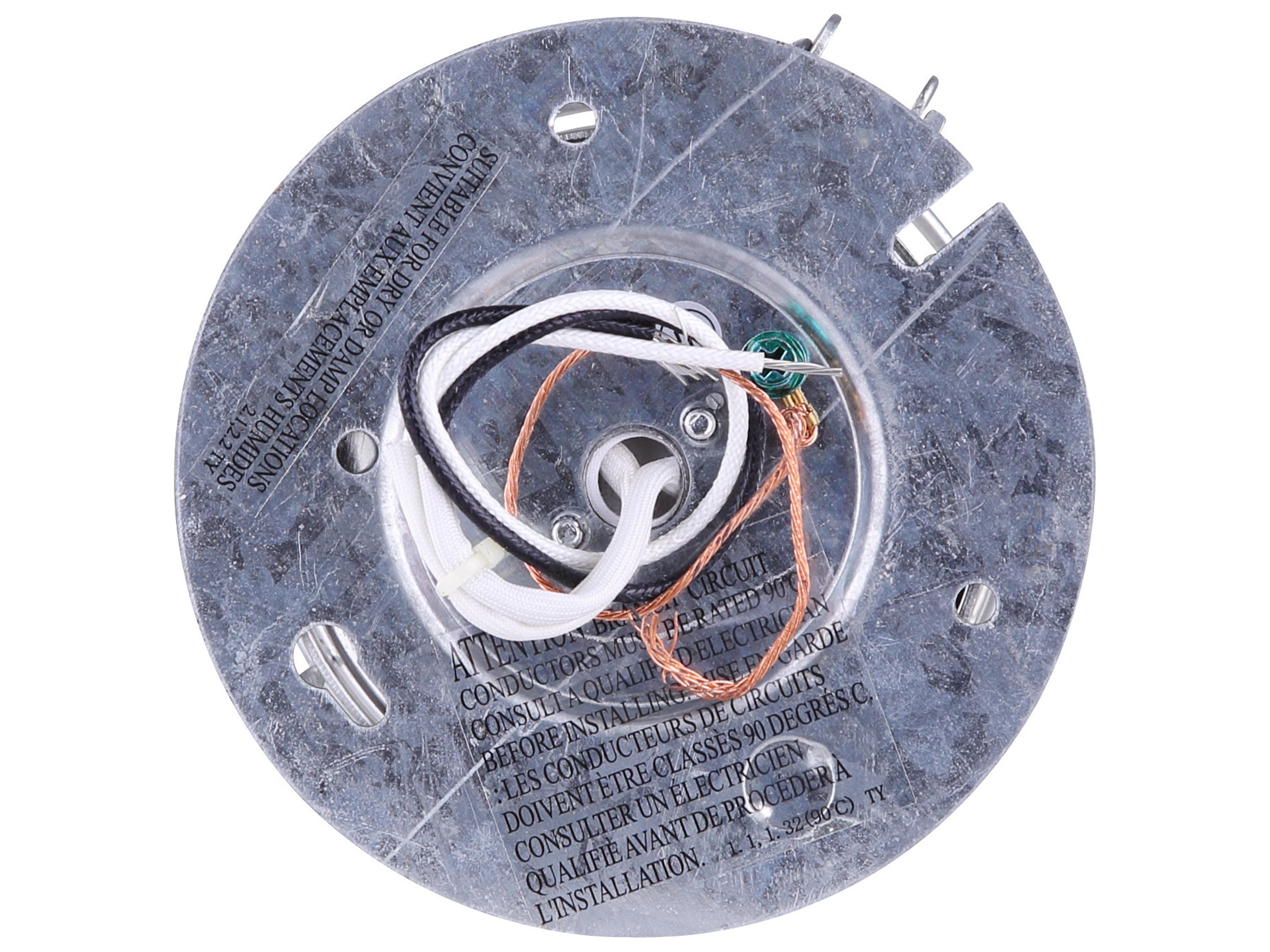 Canarm Barn Lighting 1 -light Outdoor Ceiling Light