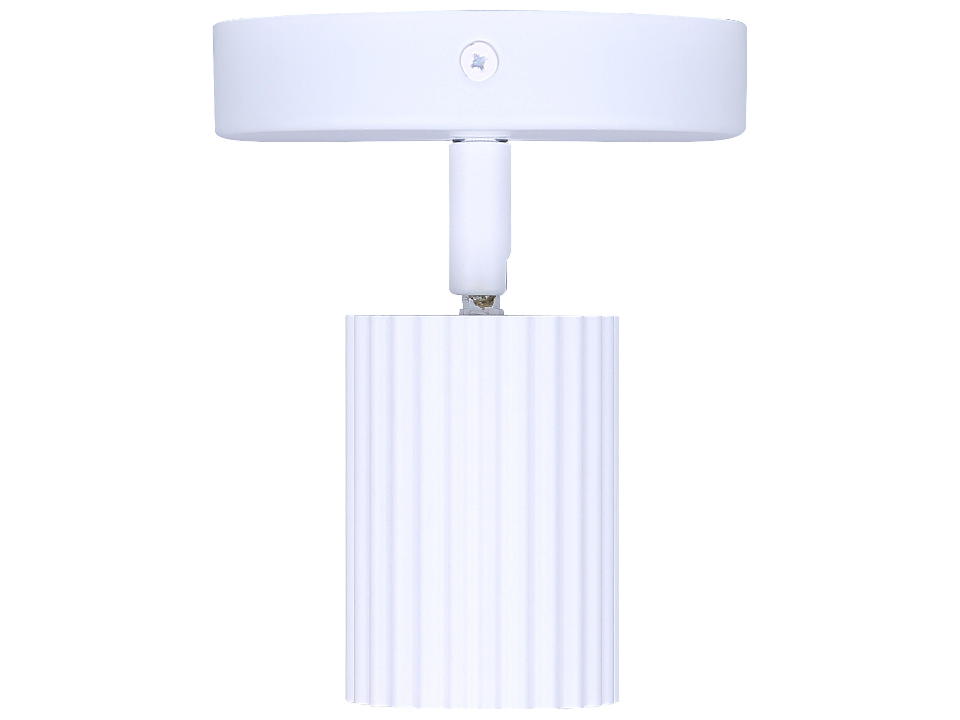 Canarm Rexton 1 -light White Cylinder Spot Light