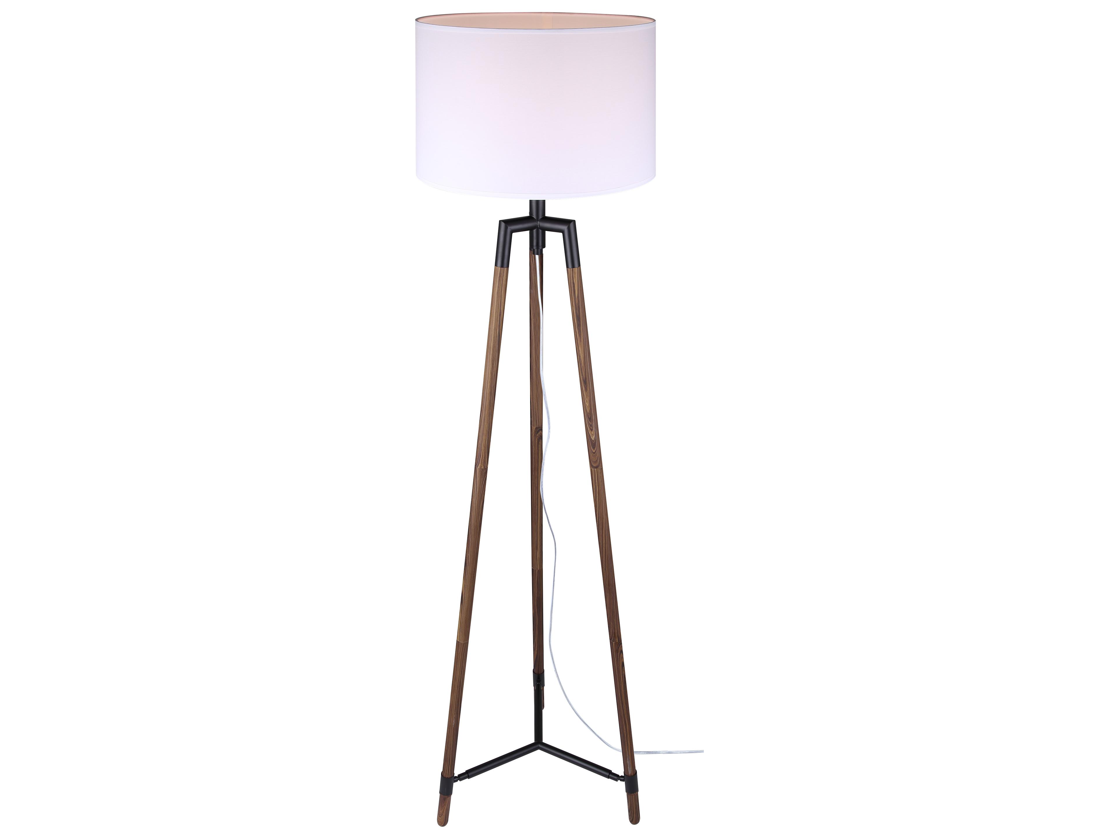Cameram Black Floor Lamp