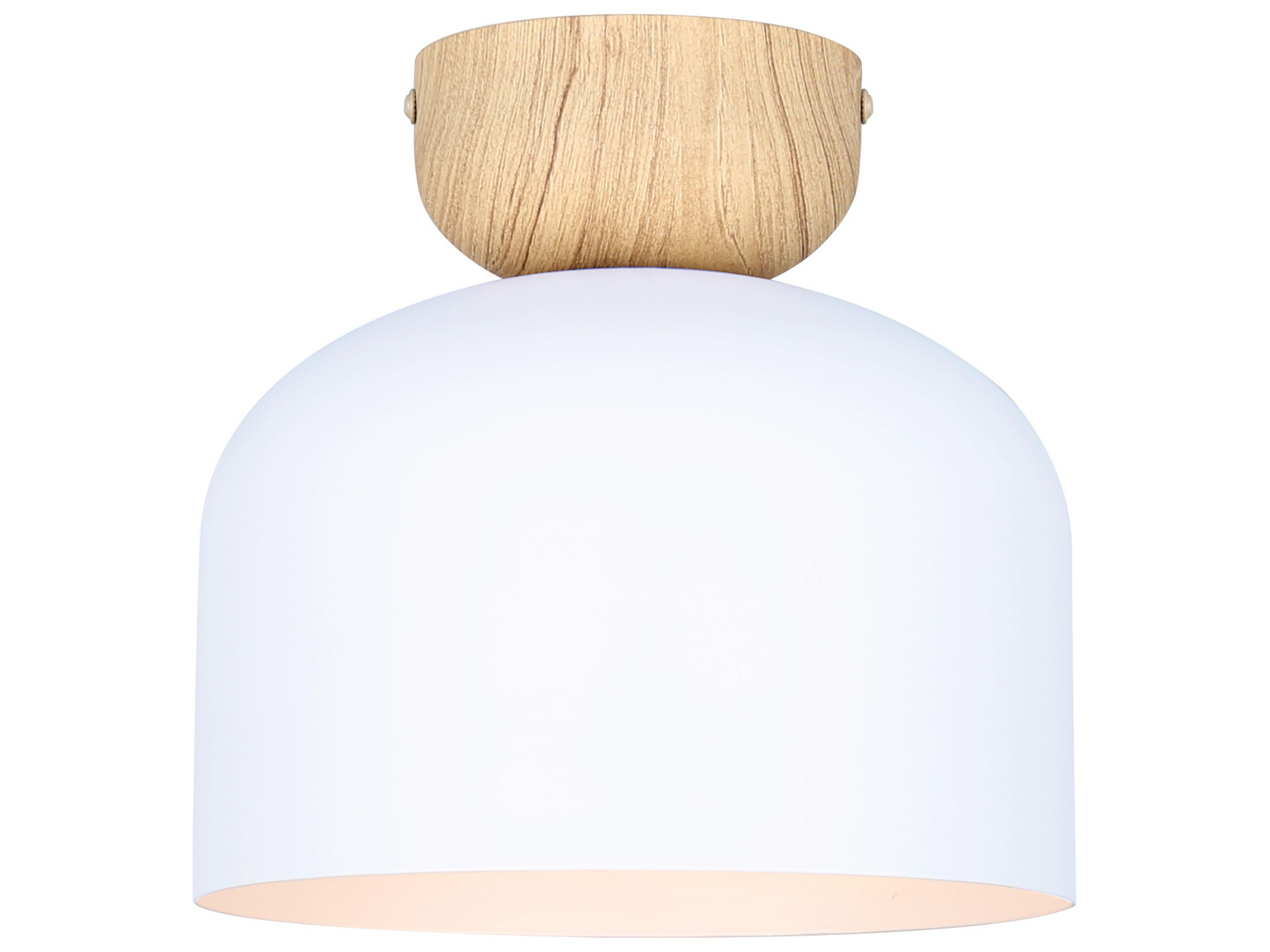 Caleb 1 -light White Dome Flush Mount