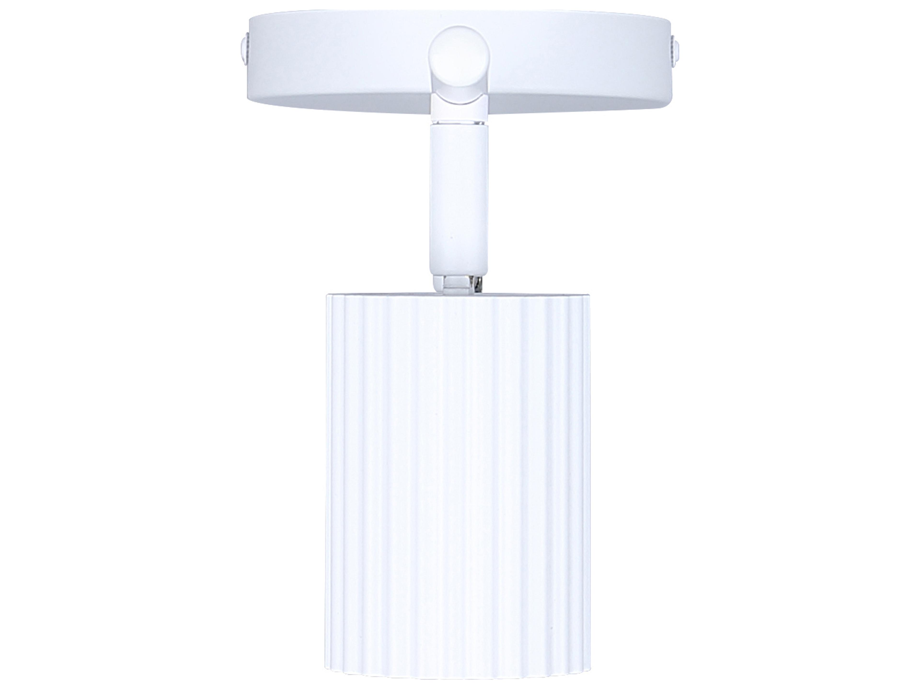 Canarm Rexton 2 -light White LED Cylinder Track & Rail Light