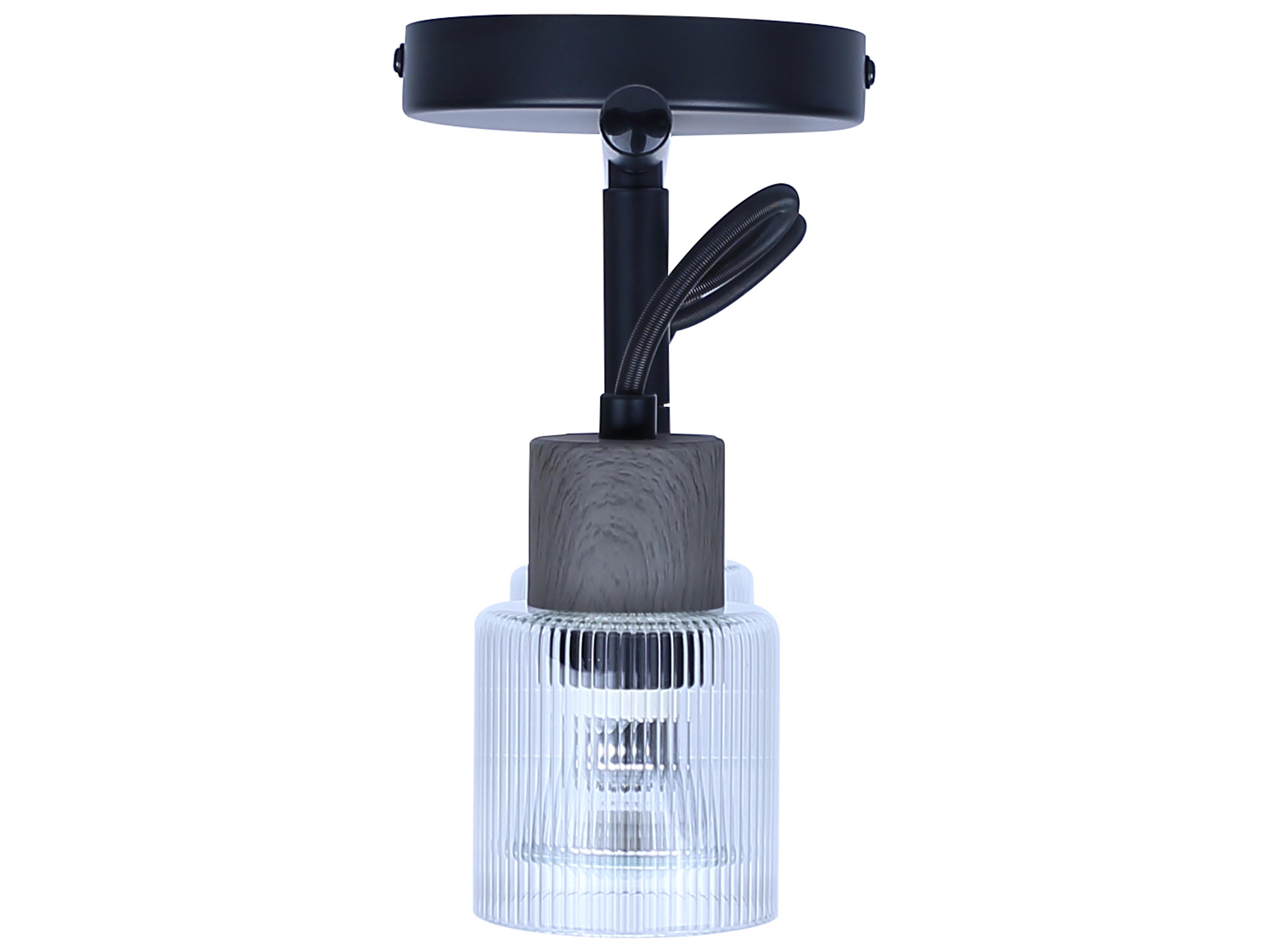 Canarm Owen 2 -light Black Cylinder Track & Rail Light