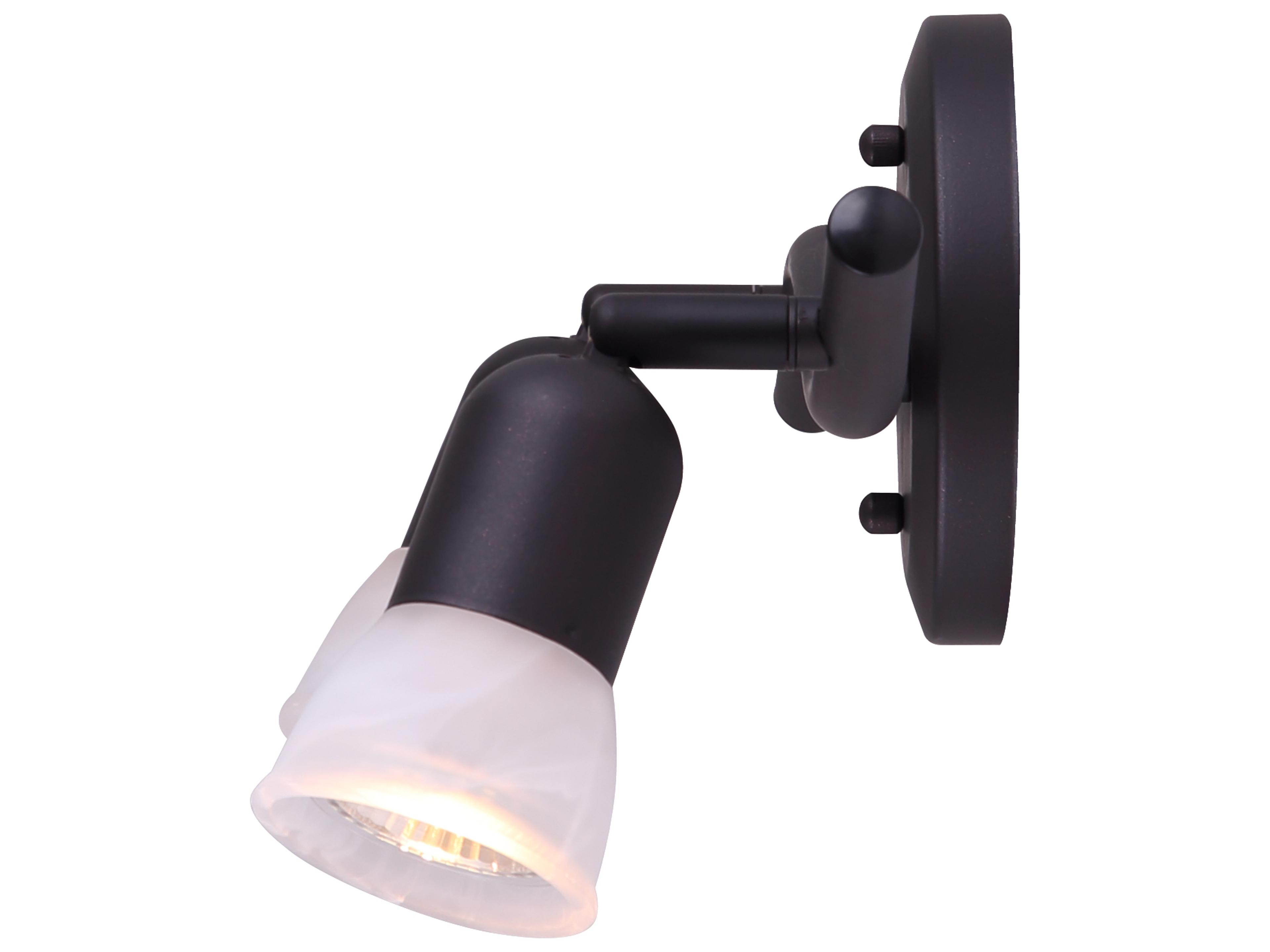 Canarm James 2 -light Bronze Track & Rail Light