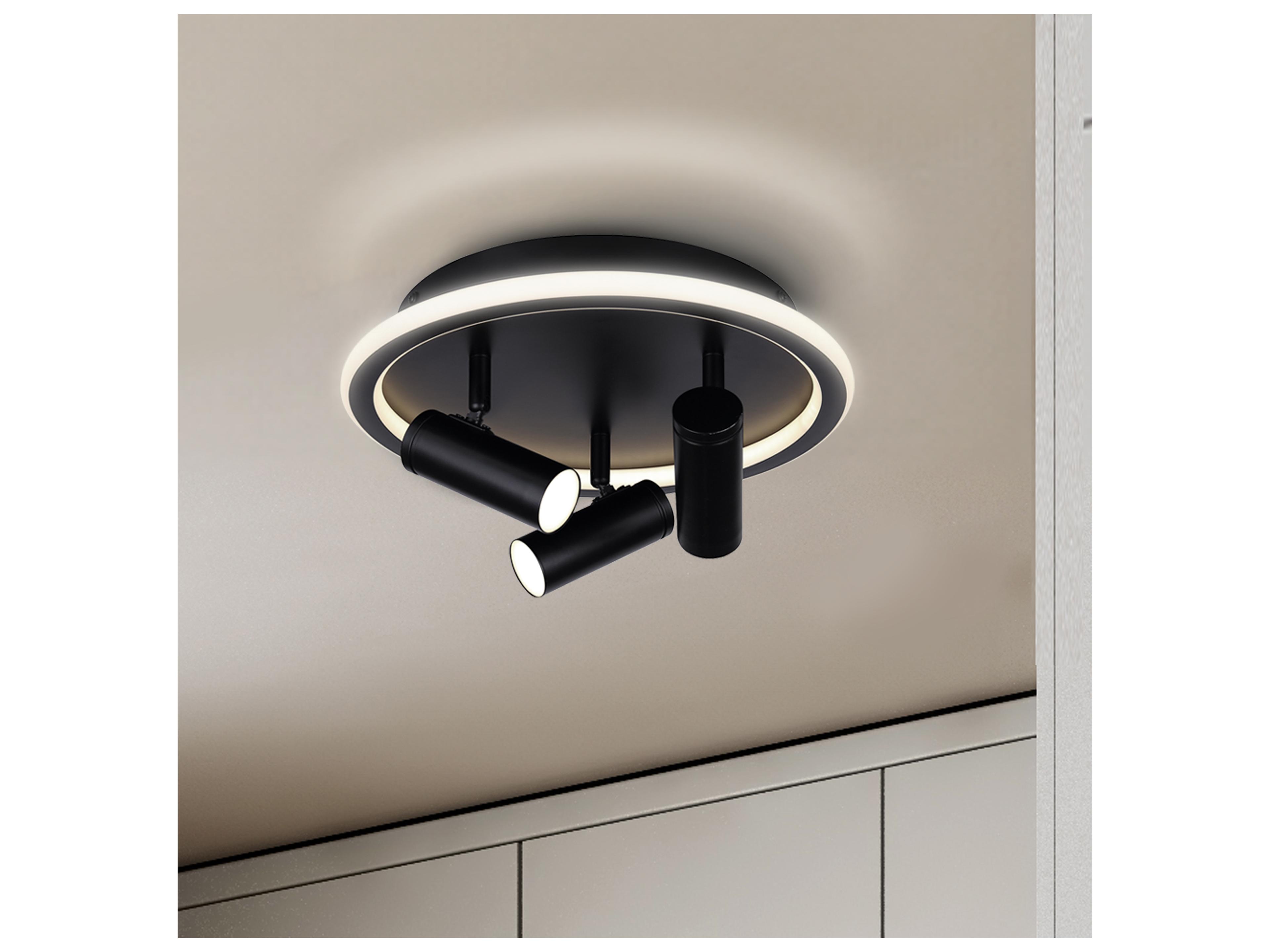 Canarm Denver Black LED Cylinder Round Flush Mount