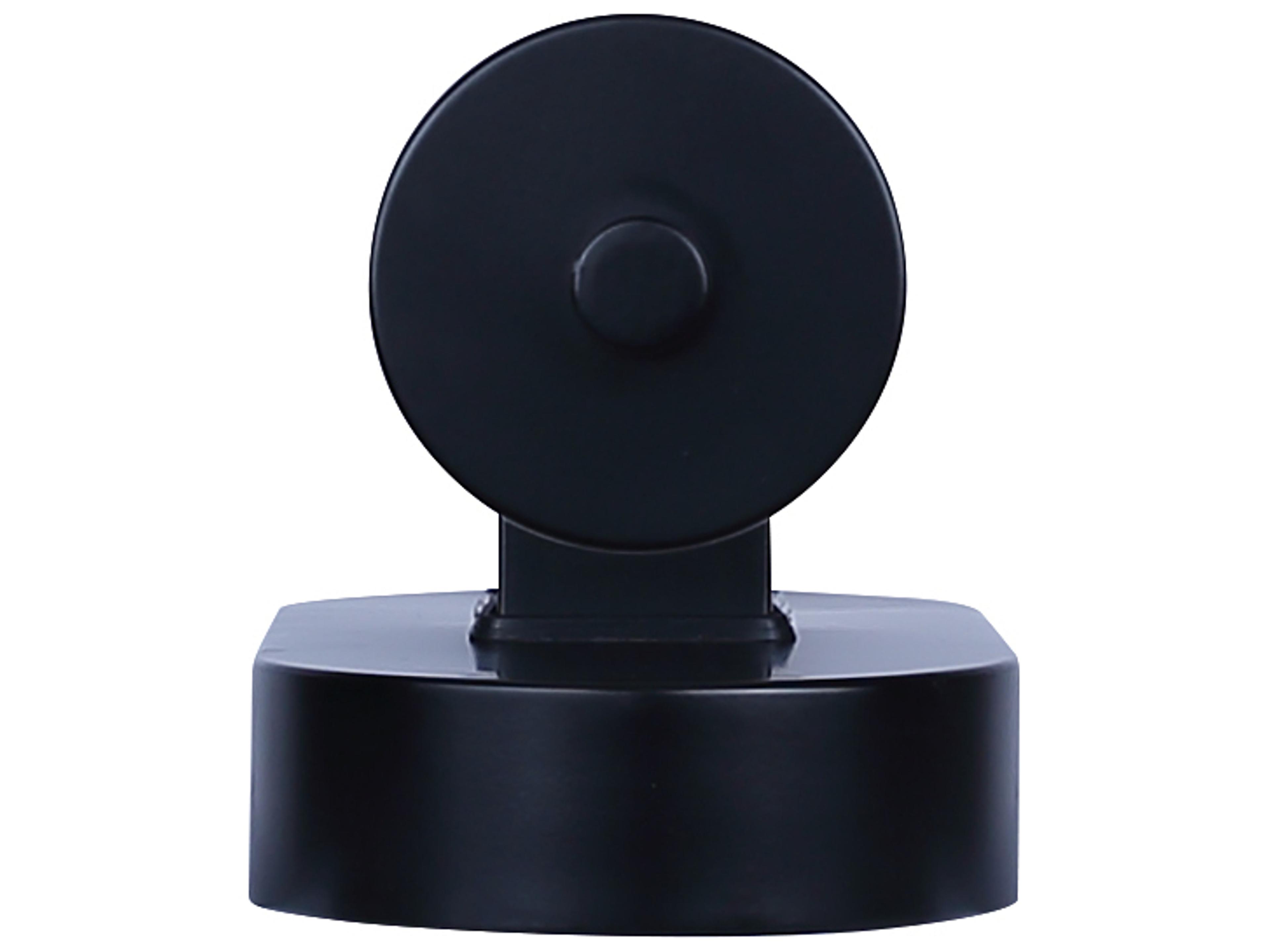 Canarm Ozzy 1 -light Black LED Wall Sconce