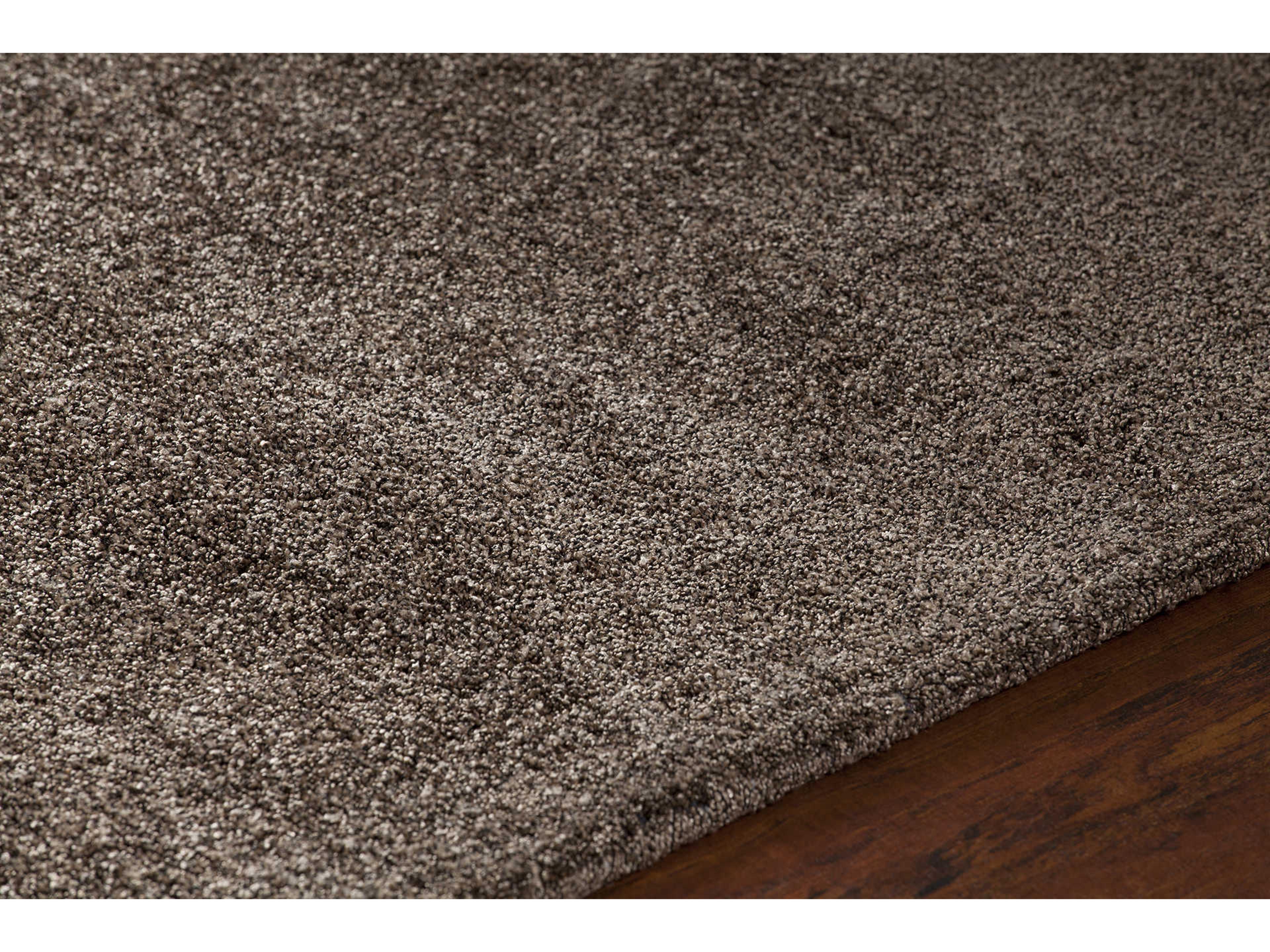 Chandra Alcon Area Rug